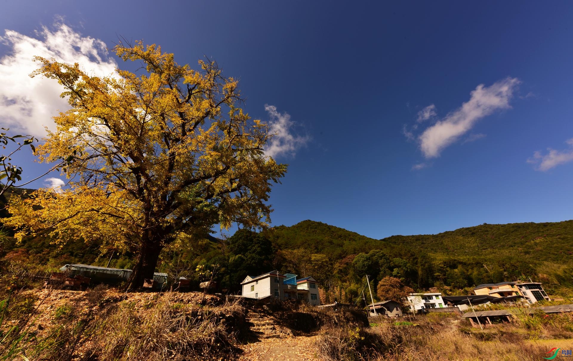 D8I_0540.jpg