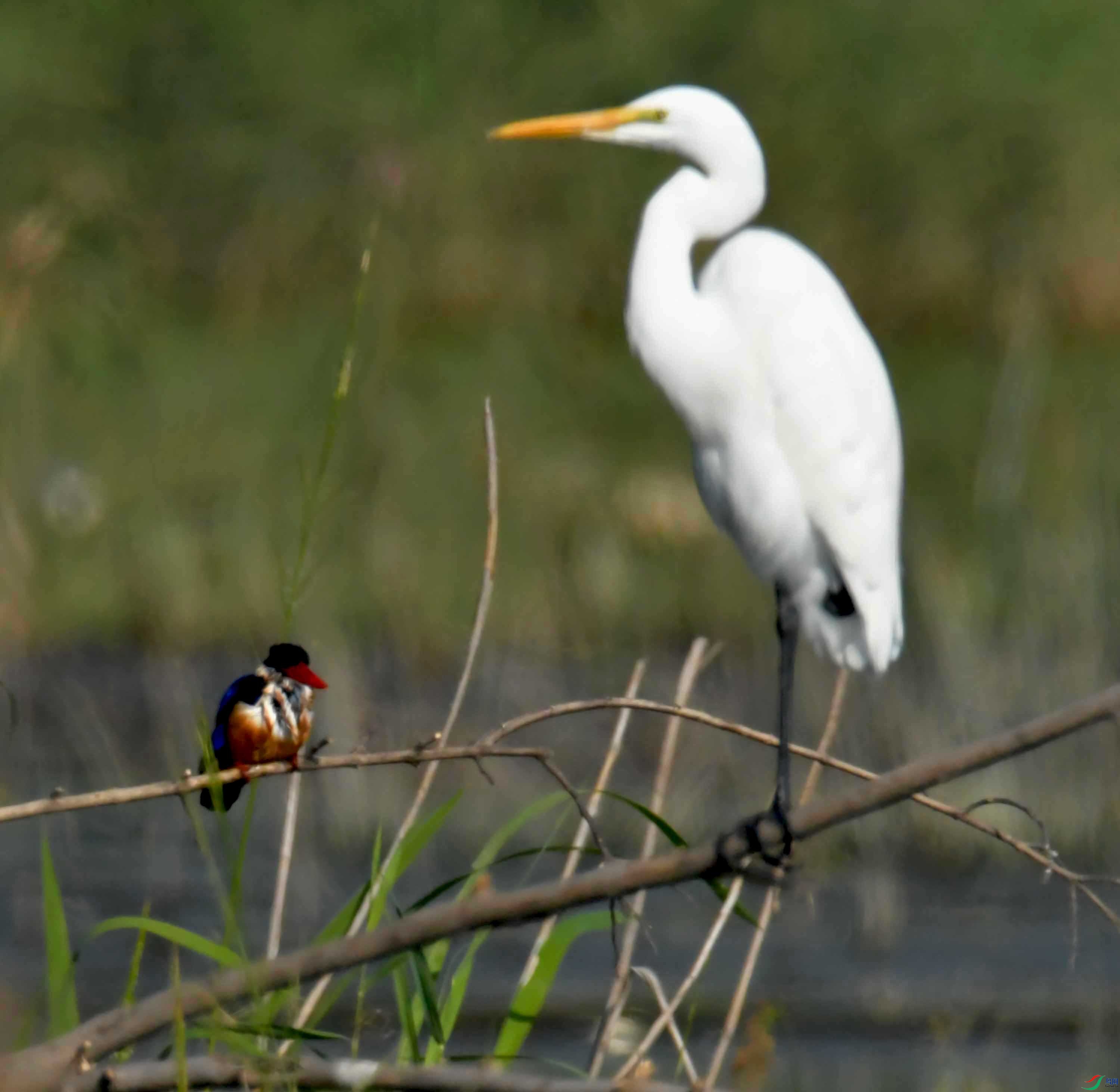 DSC_9589.JPG