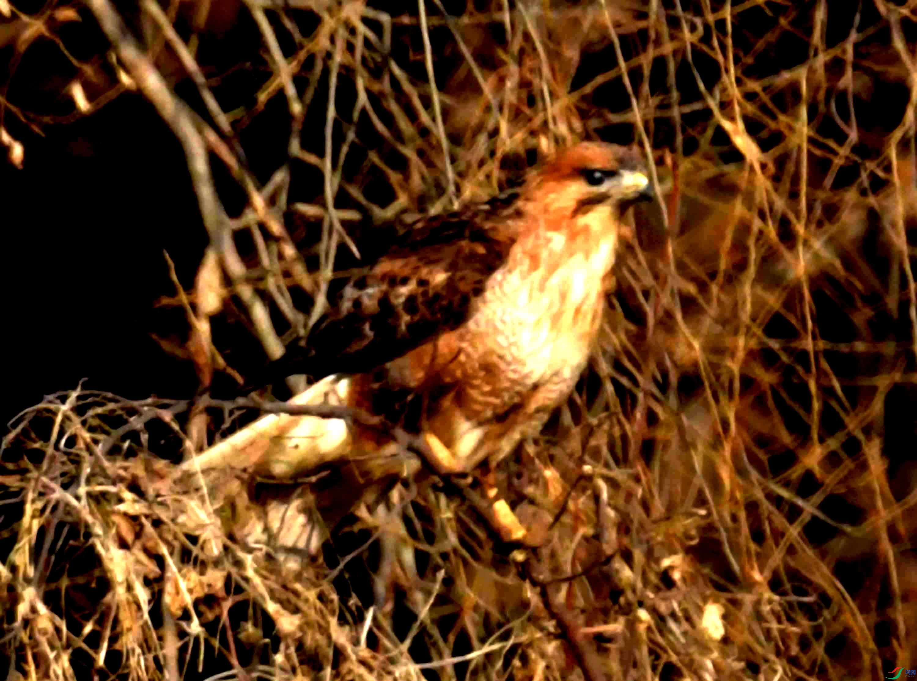 DSC_1386.JPG