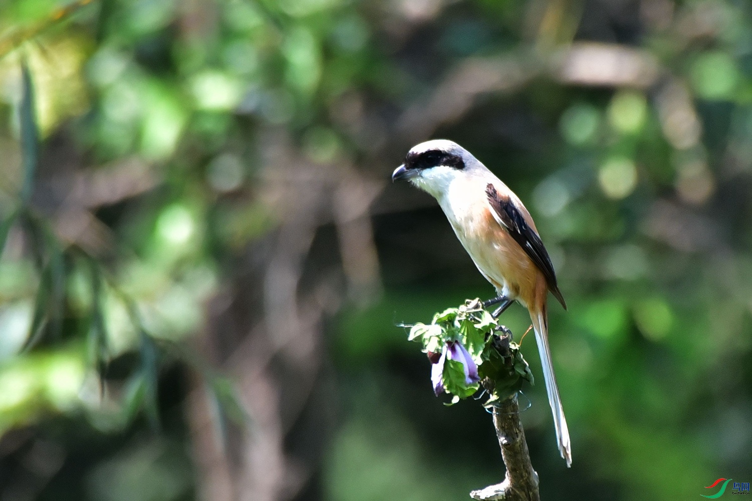 DSC_0356.JPG