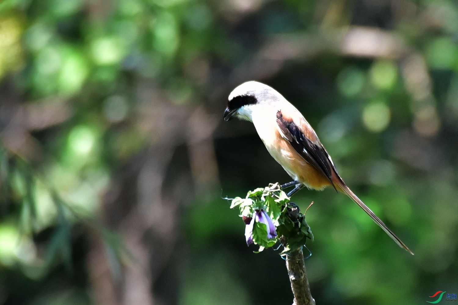 DSC_0362.JPG