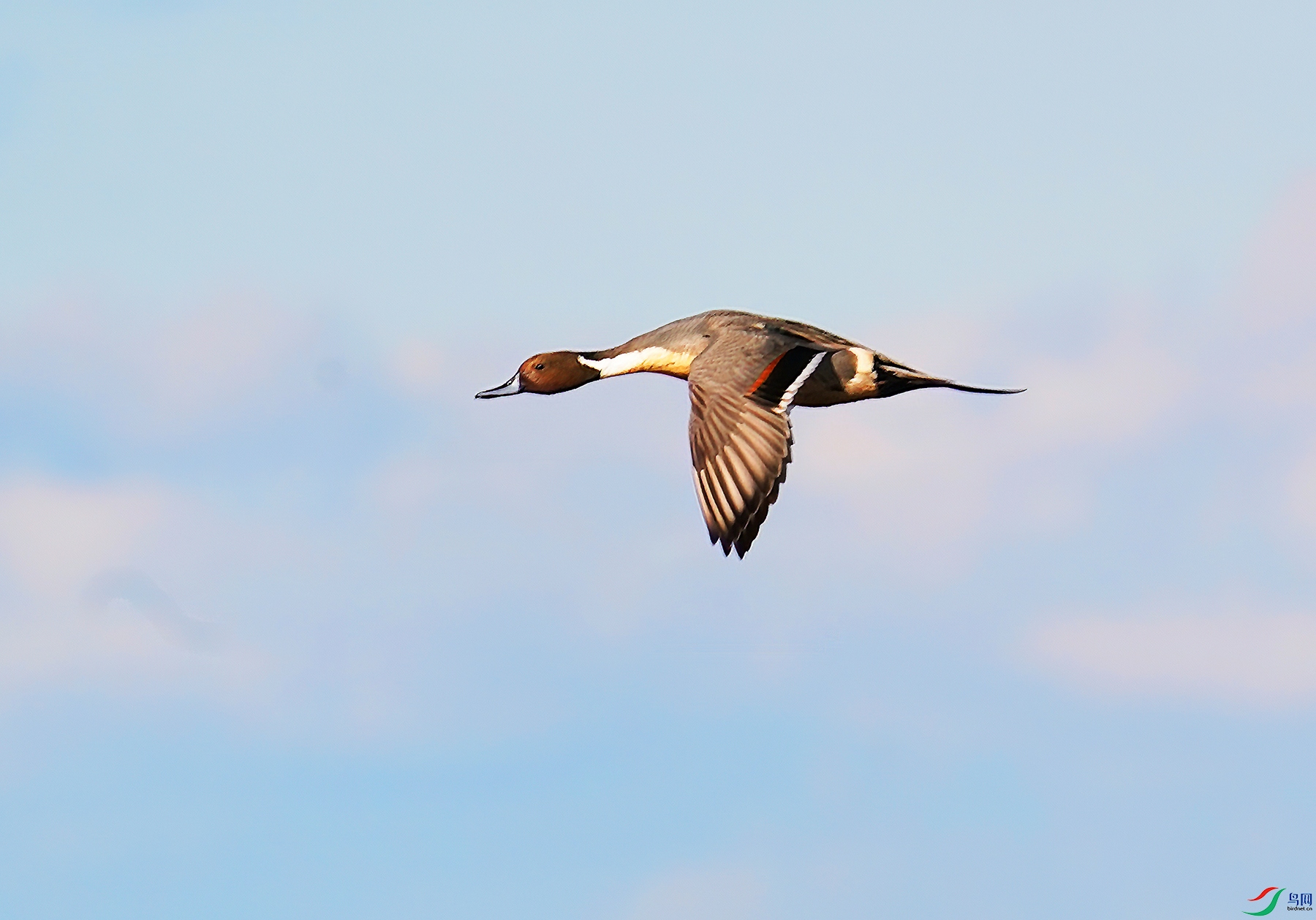 DSC05033--.jpg