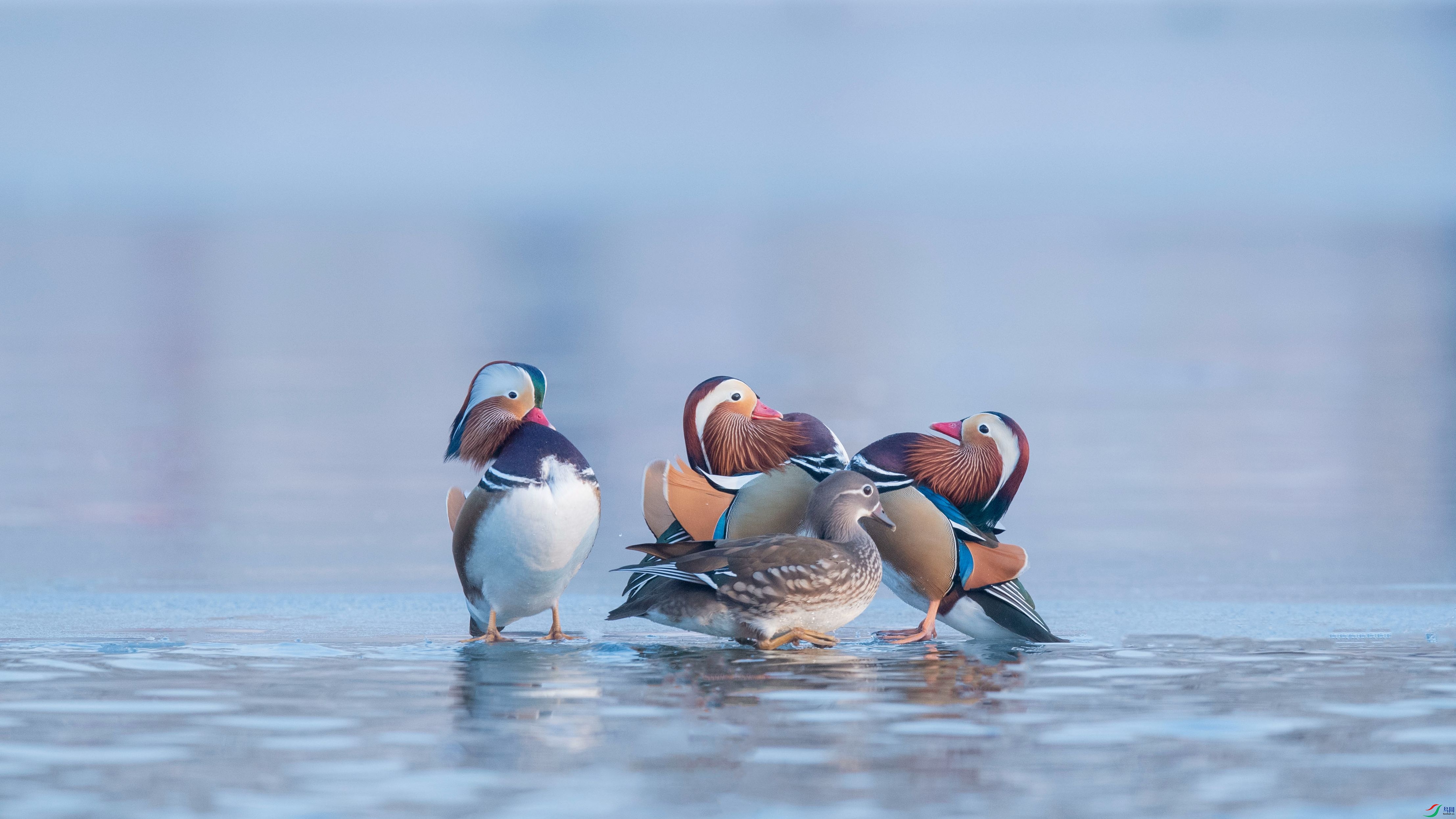 _DSC4369_����.jpg