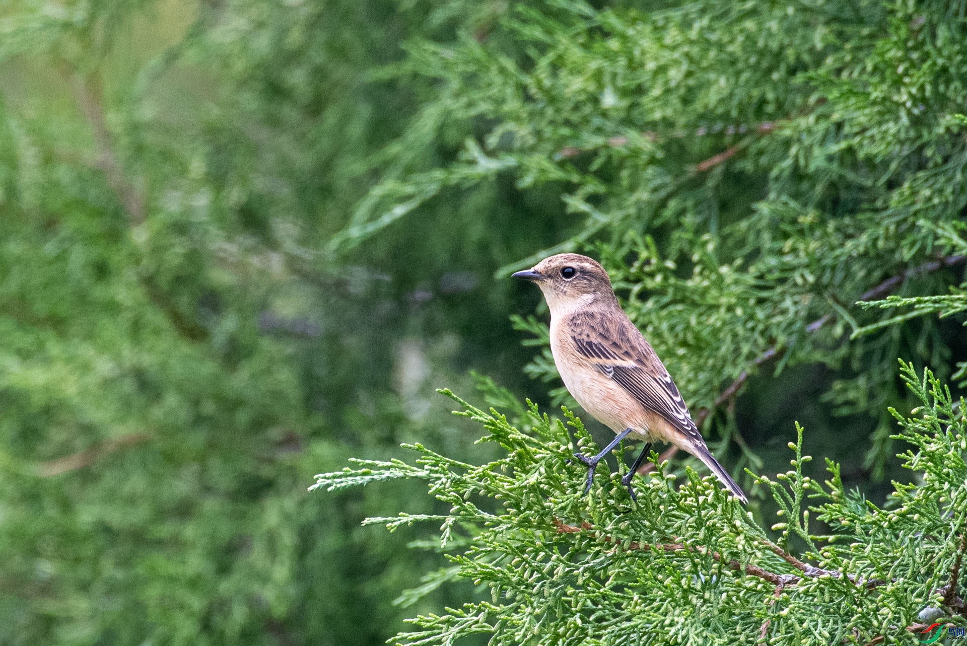 DSC_5668.jpg