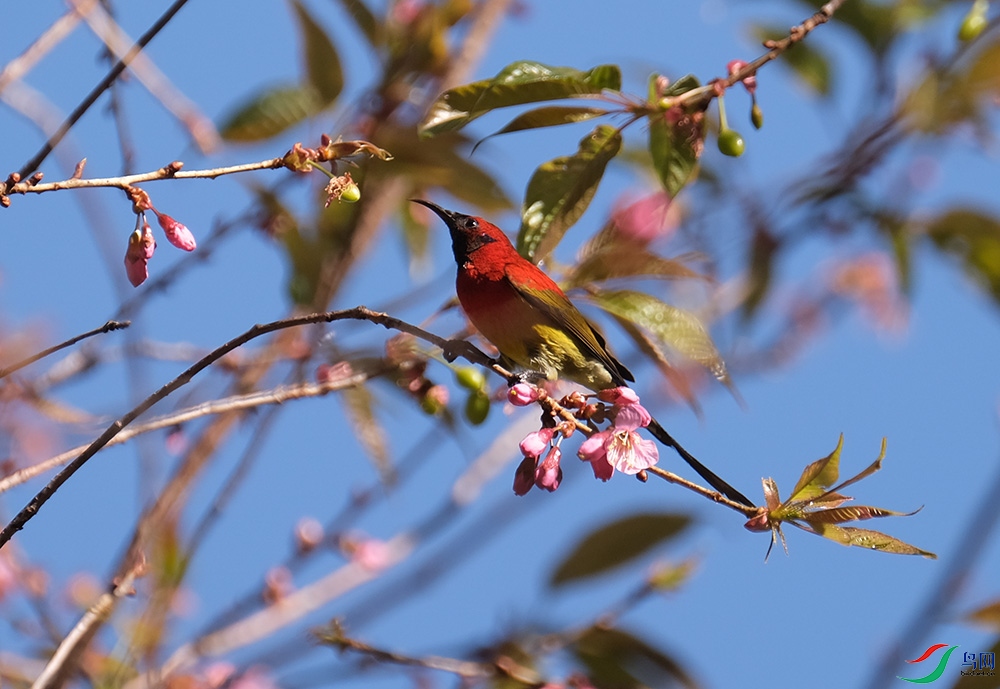 DSCF4838.1.jpg