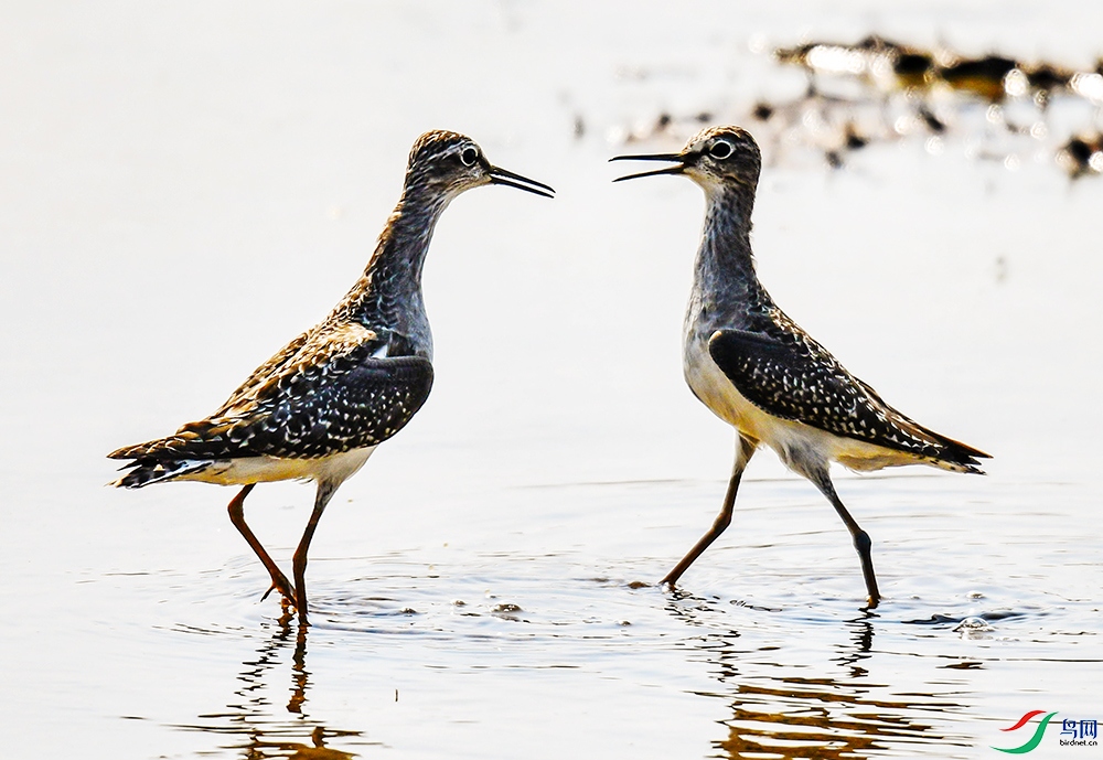 Picture 634110277.jpg