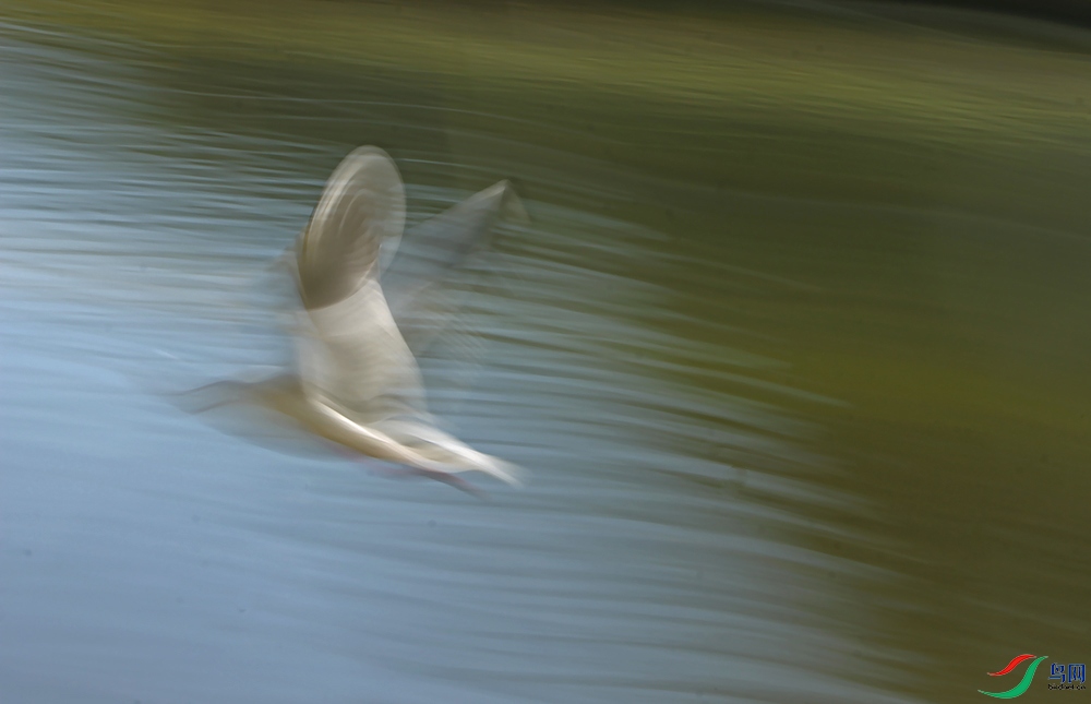 IMG_5237.1.jpg