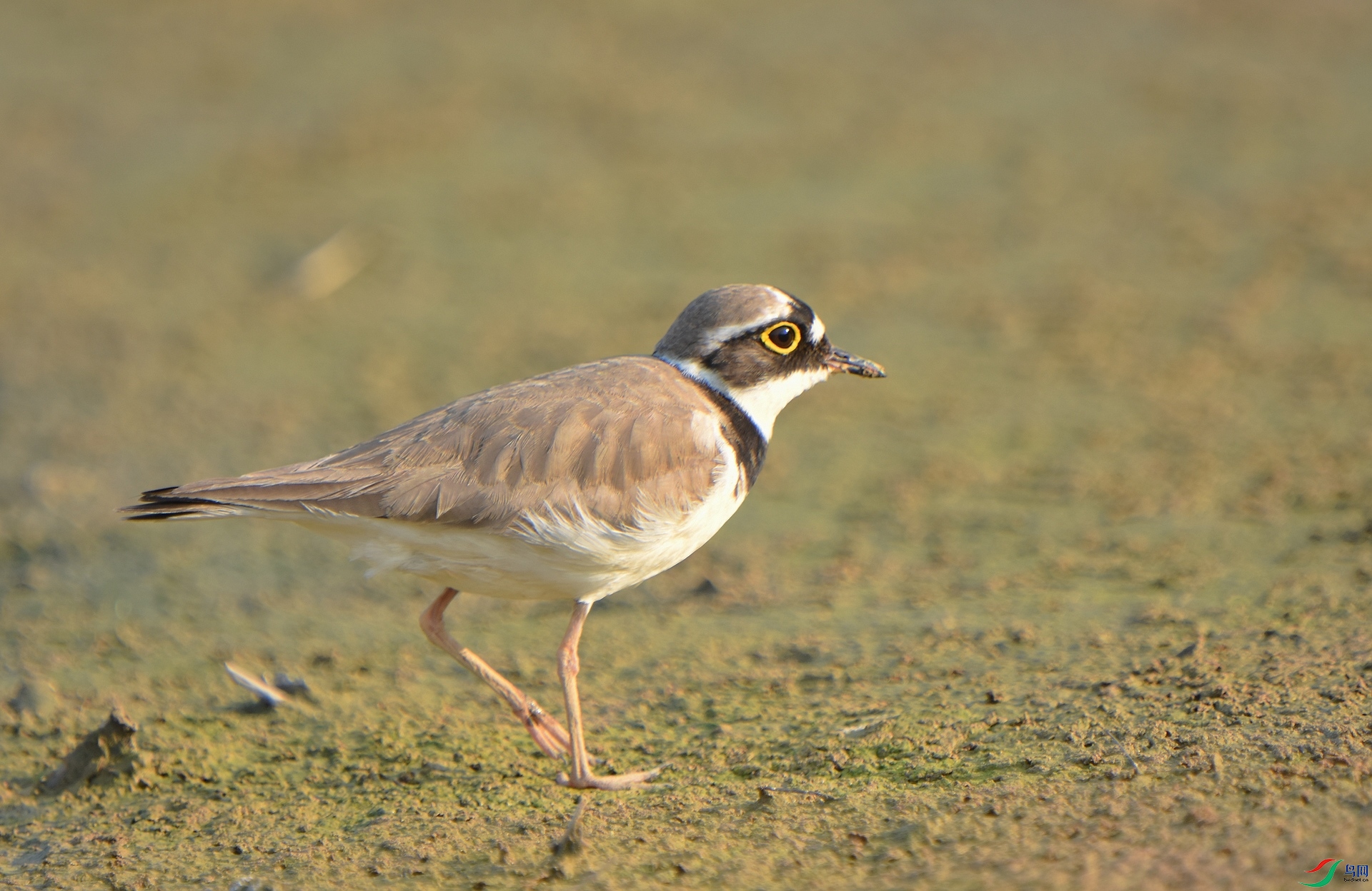 D72_5365.jpg
