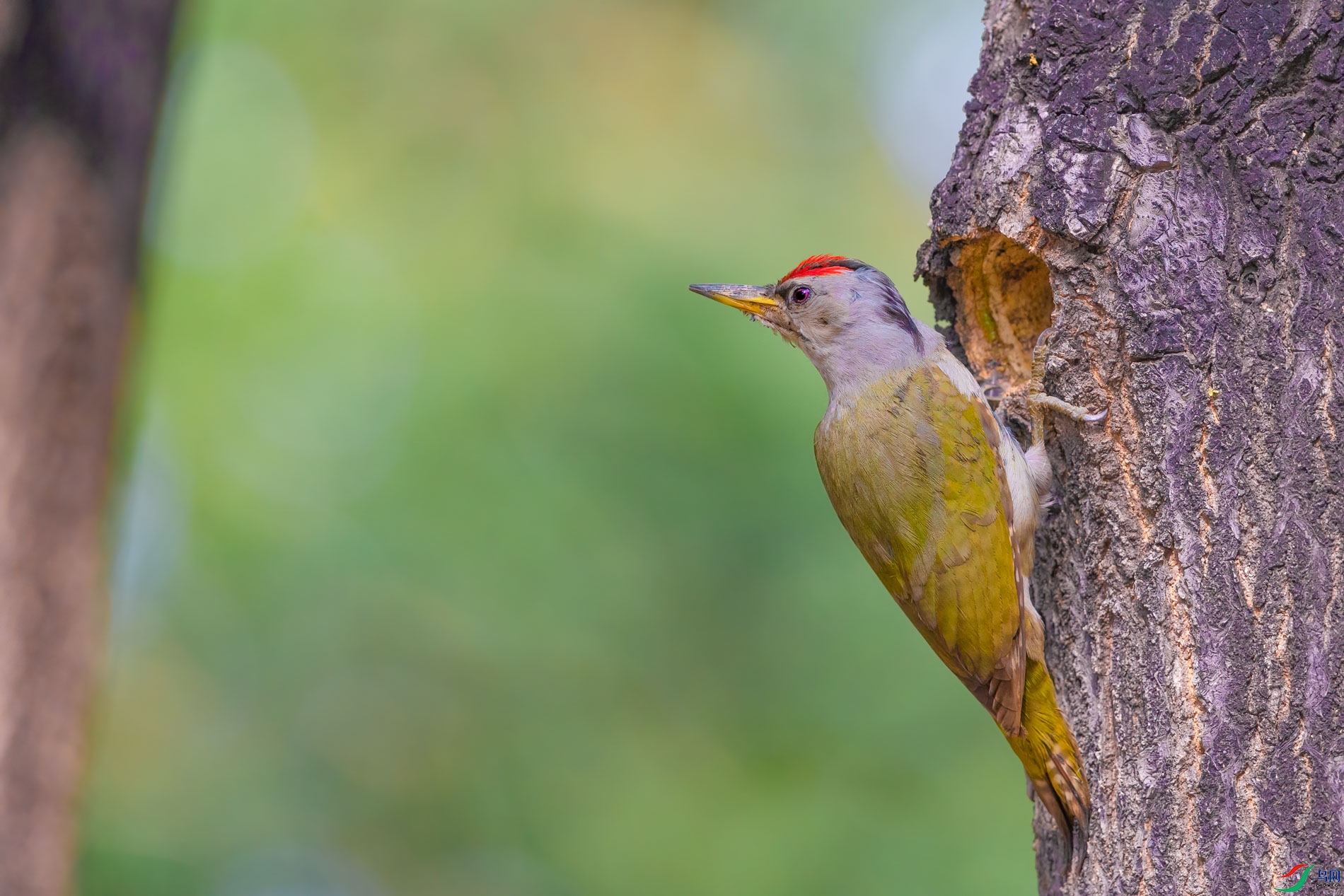 AQ4P0231-1.jpg