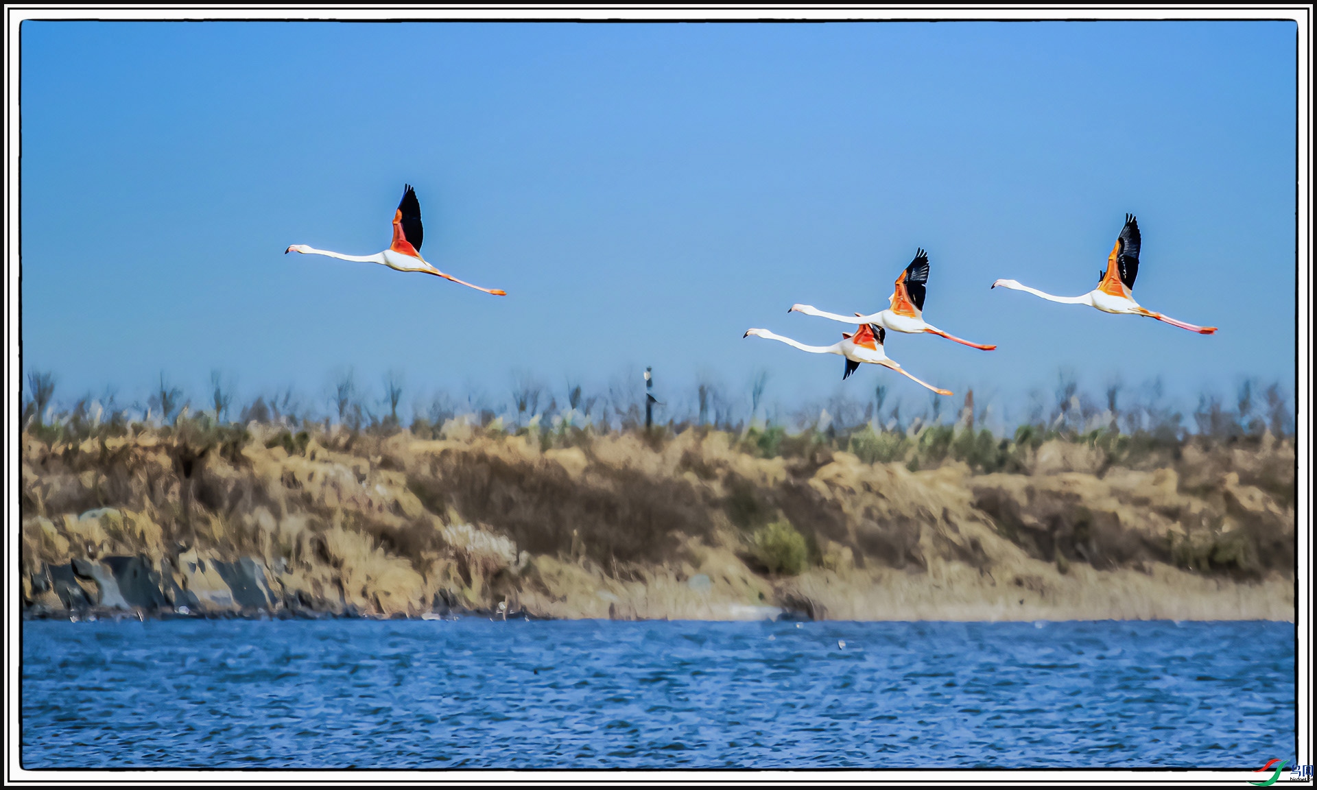 IMG_2410 ����.jpg