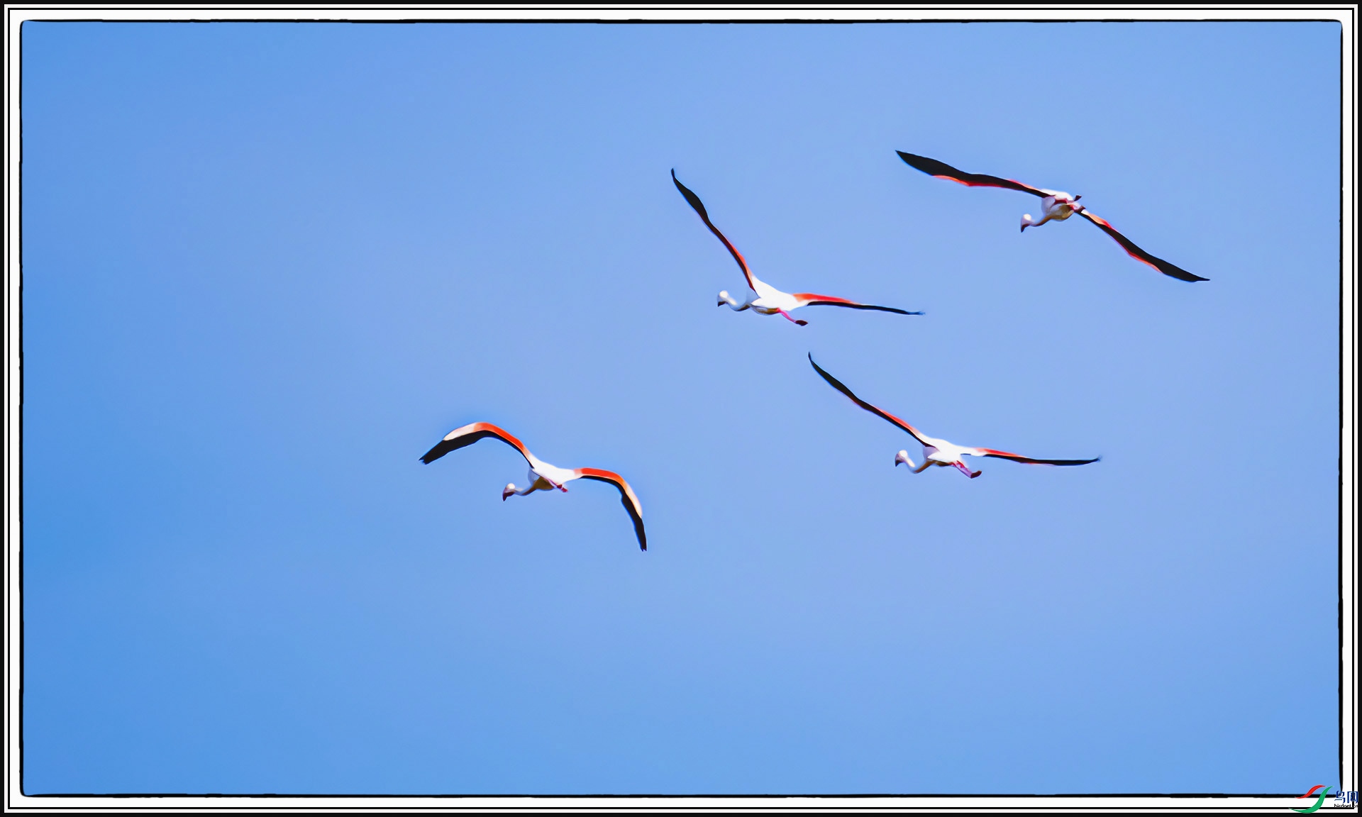 IMG_2424 ����.jpg