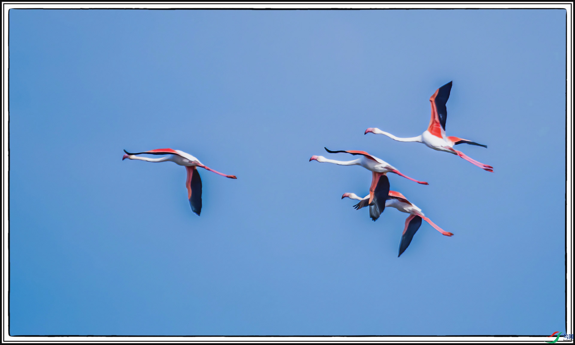 IMG_2415 ����.jpg