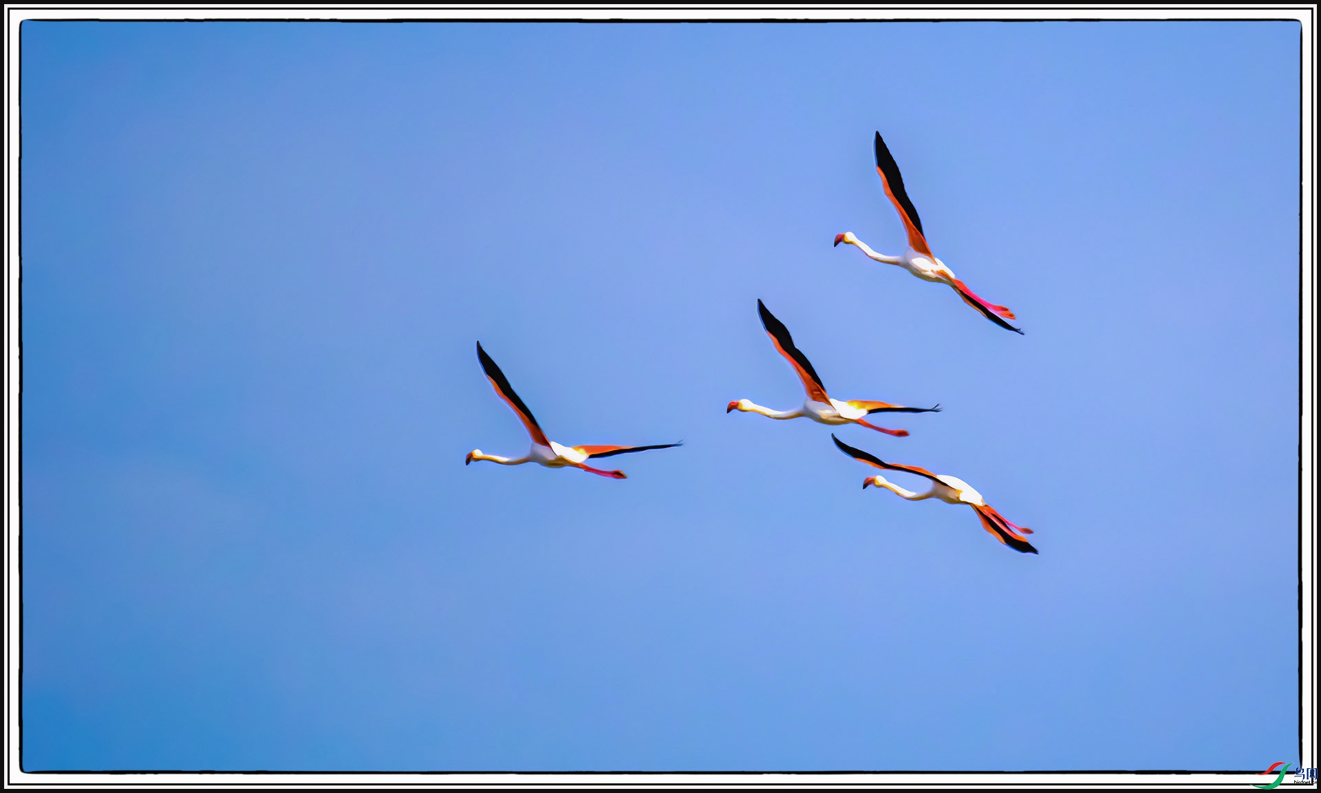 IMG_2421 ����.jpg