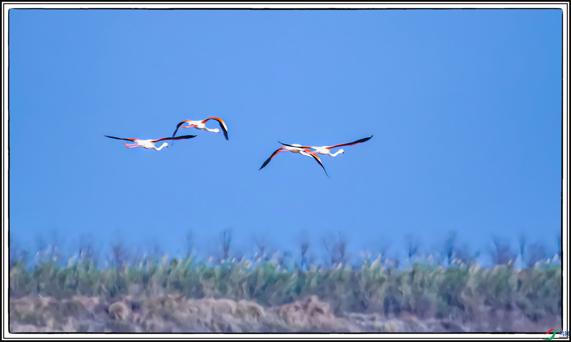 IMG_2442 ����.jpg