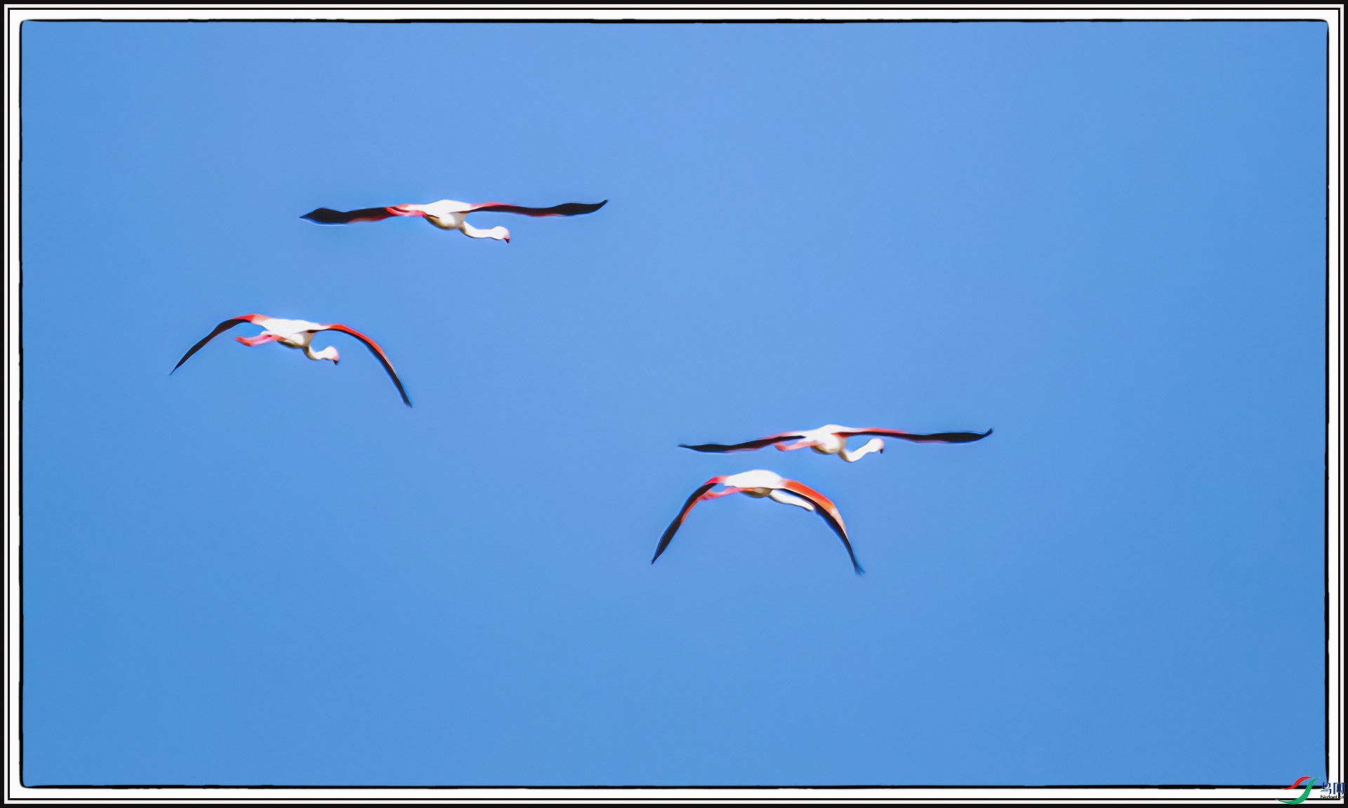 IMG_2437 ����.jpg