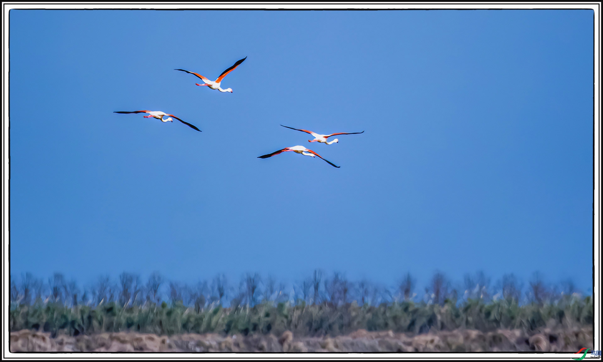 IMG_2439 ����.jpg