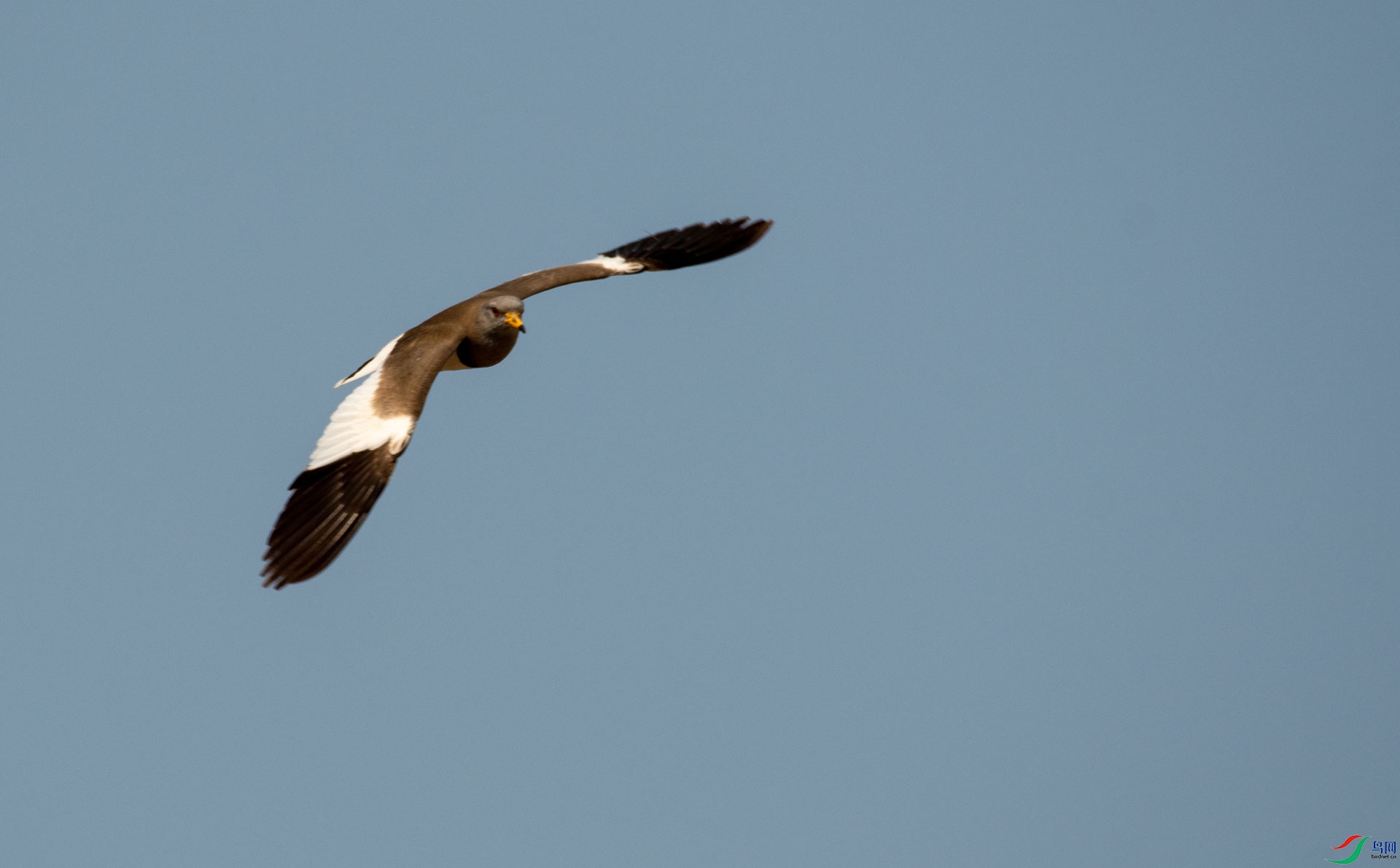DSC_5396.jpg