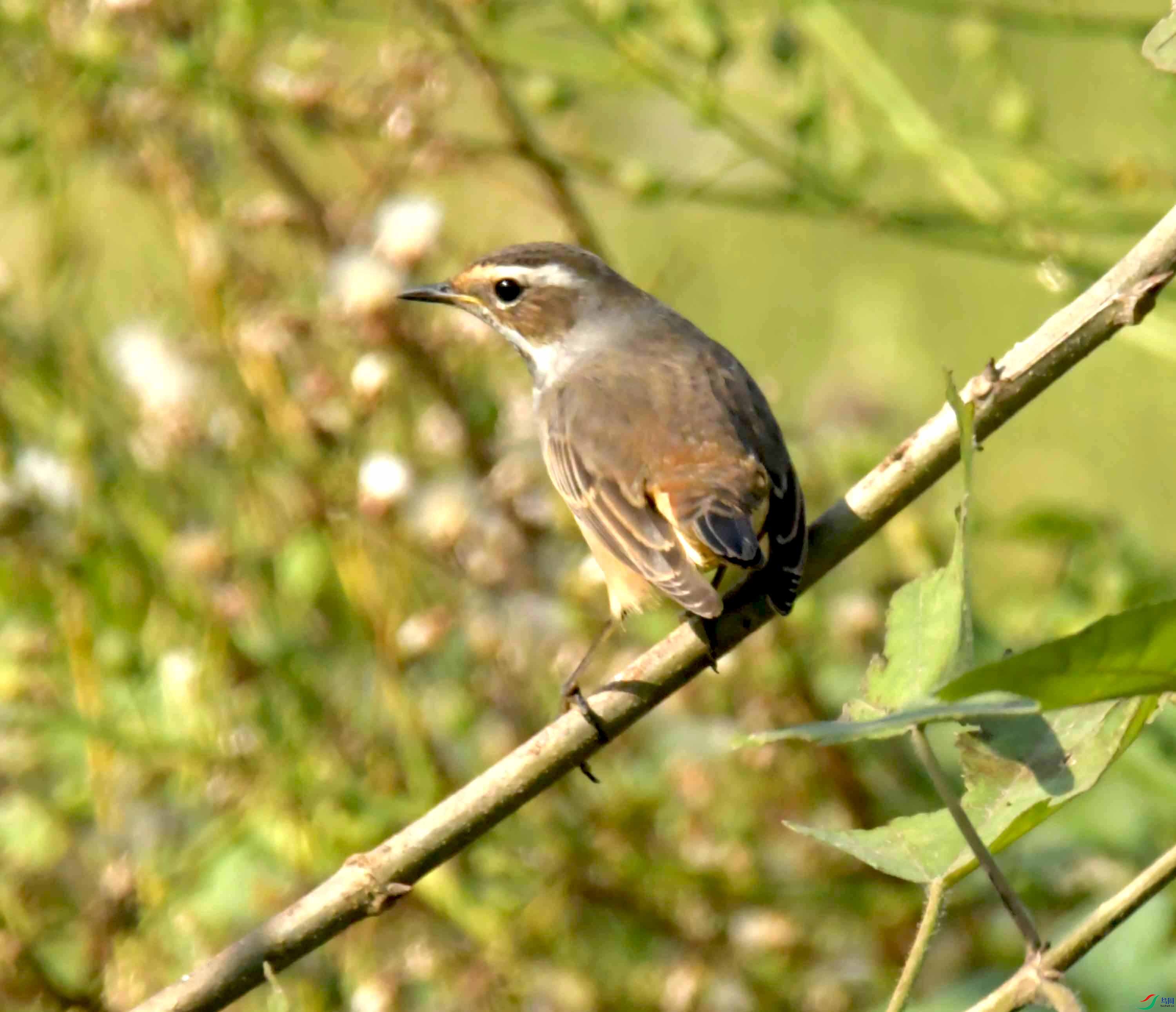 DSC_1434.JPG