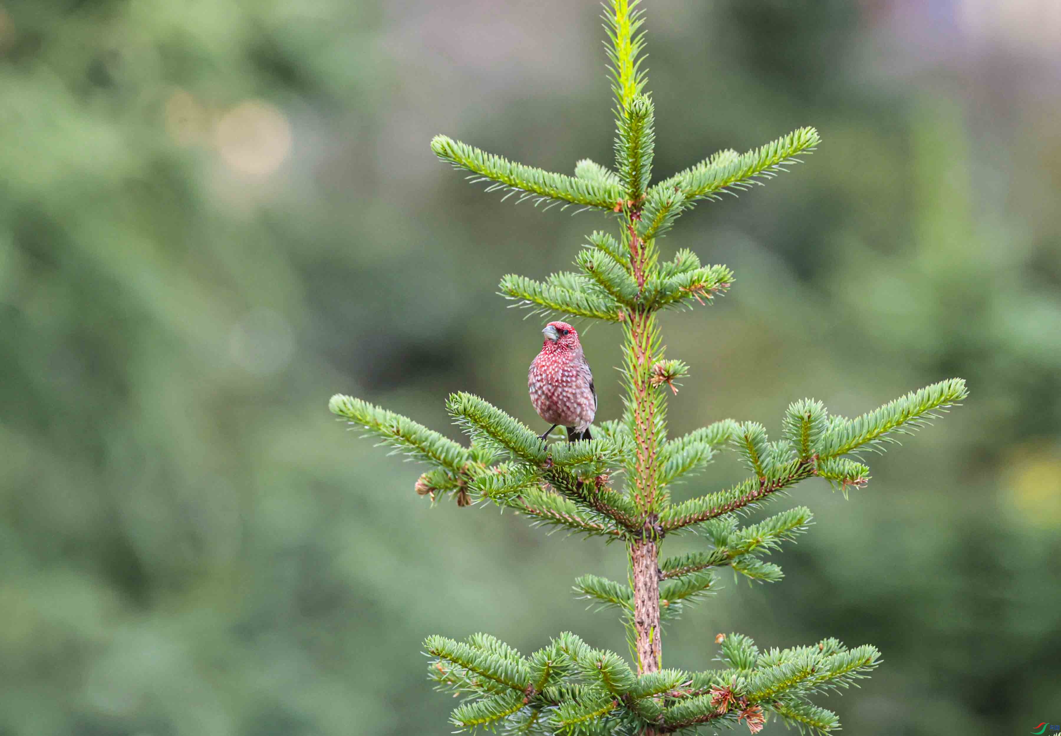 ����ȸ  2022��7���ڴ����ĵ�.jpg