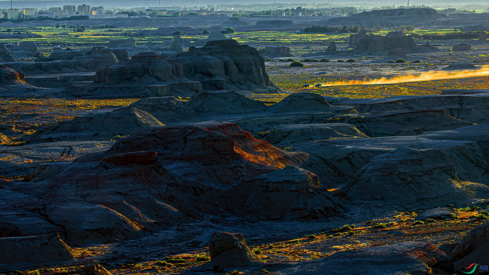 _DSC8206-NEF_DxO_DeepPRIME - ��������ħ����.jpg