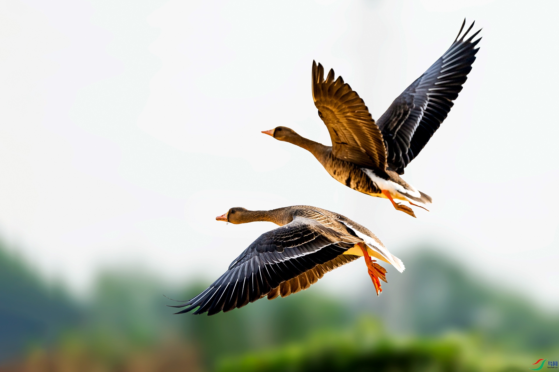 �������