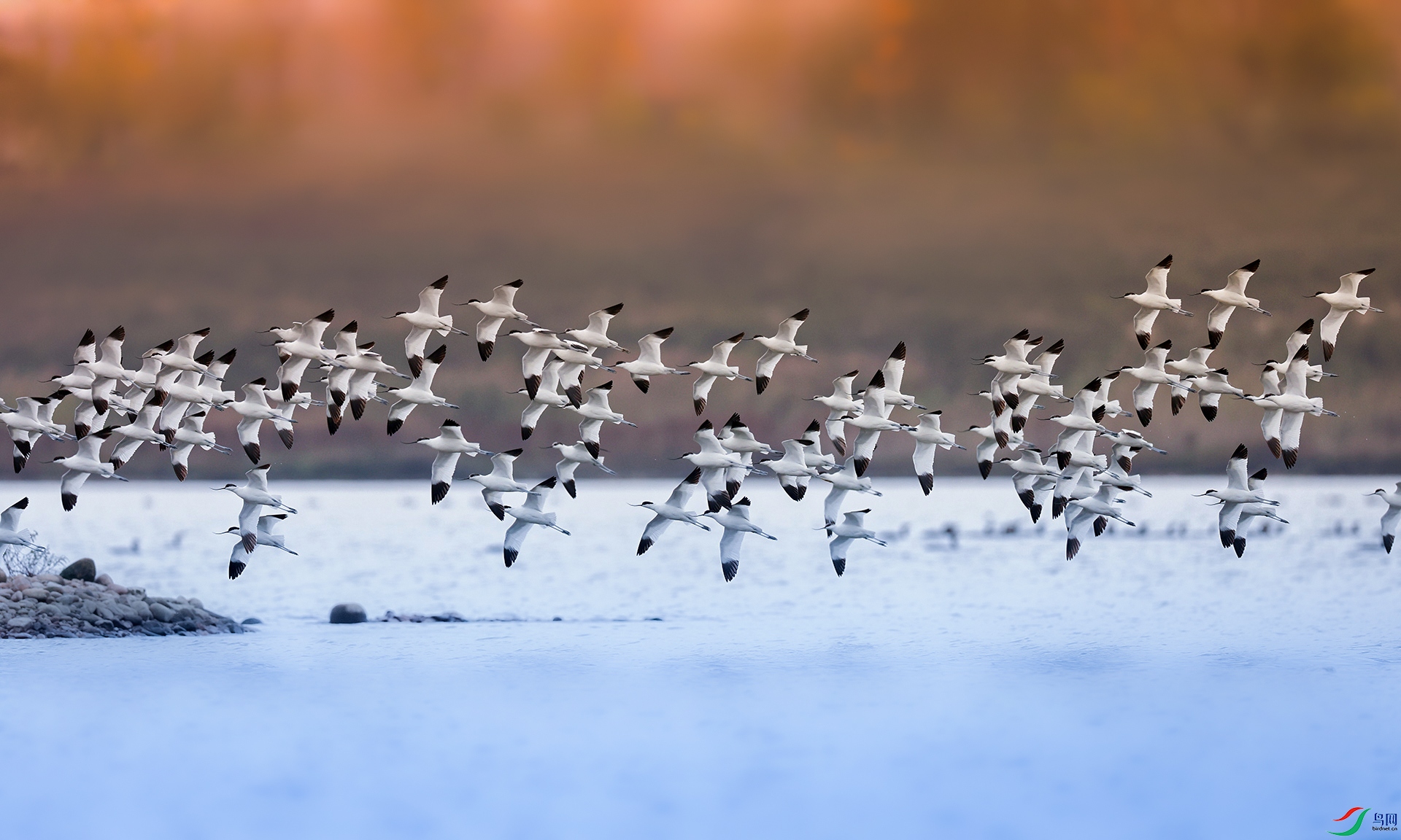 ����083A4625.jpg