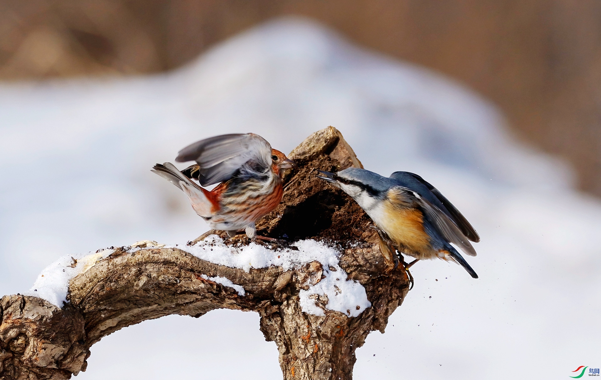 ��ȸ����ͨ��