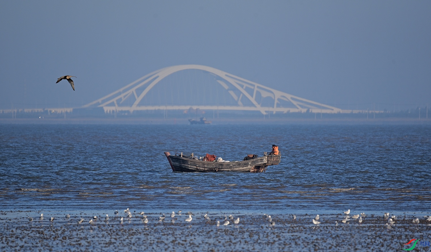 DSC_6025.jpg
