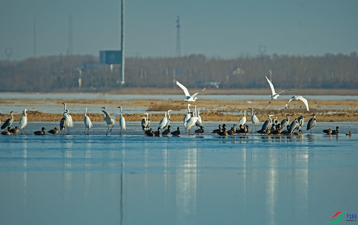 20220323 (23).jpg