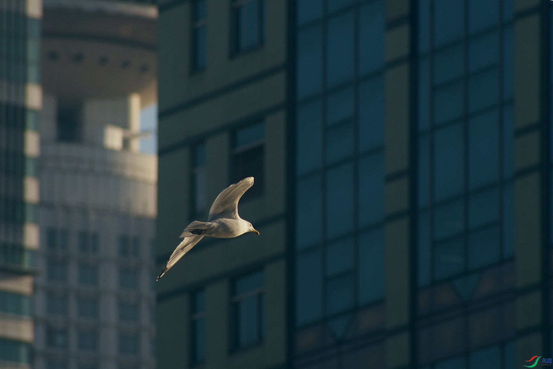 DSC_0380_����.jpg