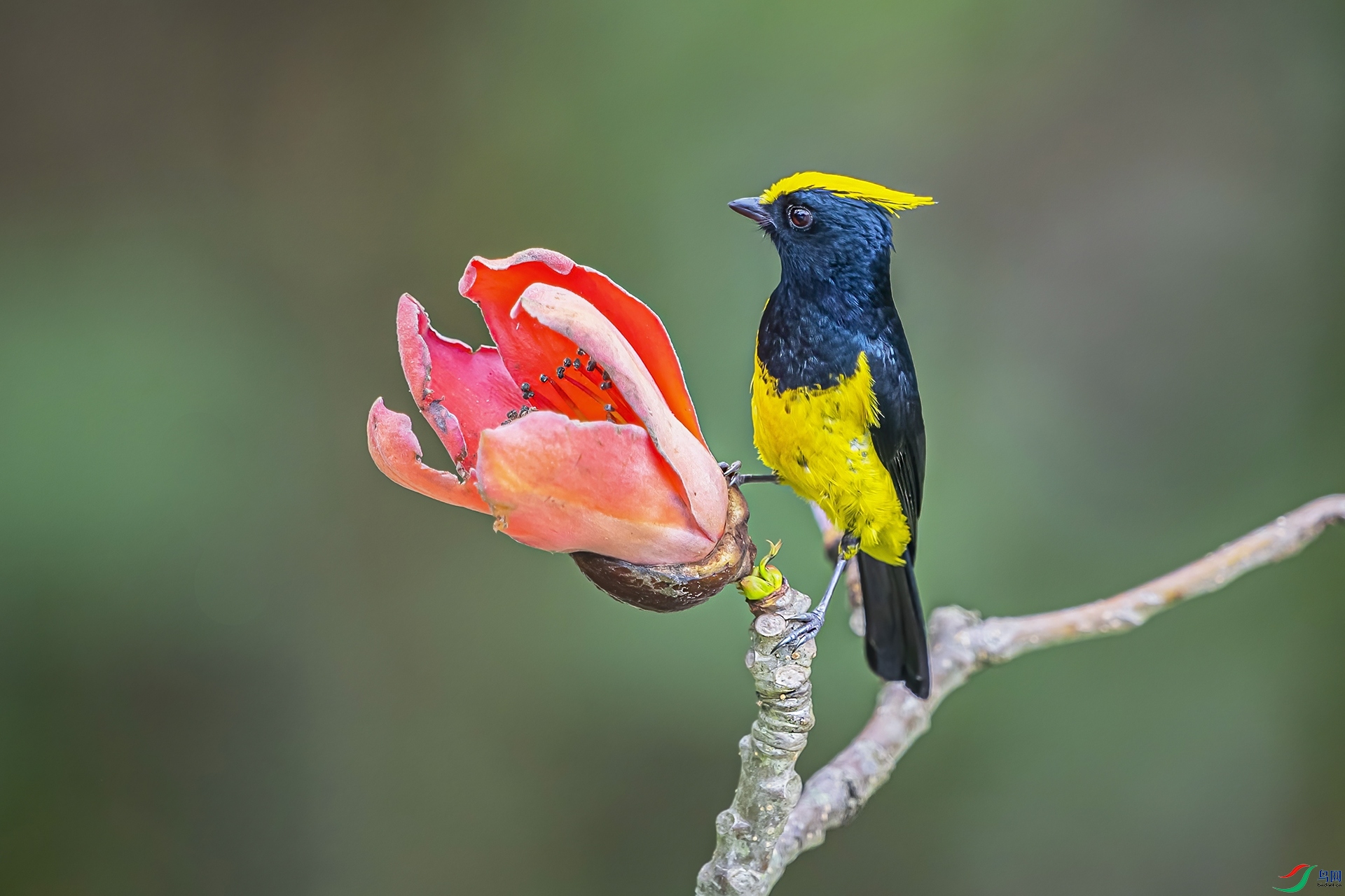 DSC_3321 ����.jpg