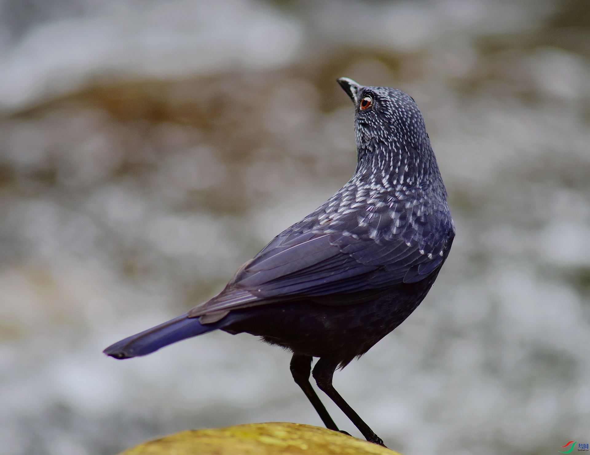 D8I_5091.jpg