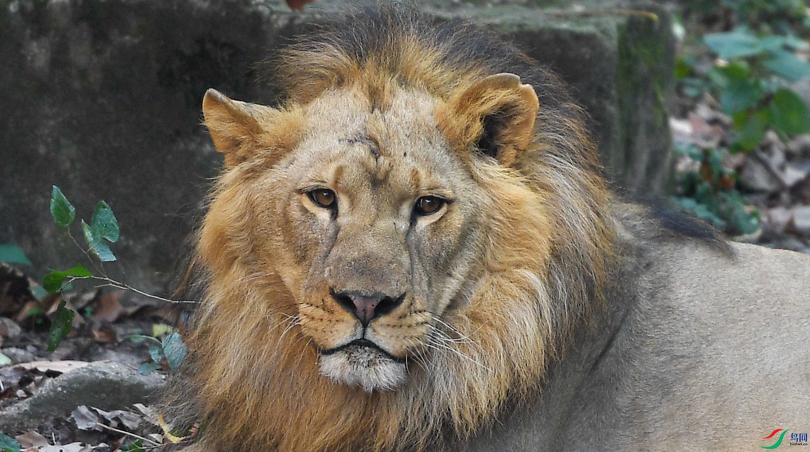 DSC_7886_����.jpg