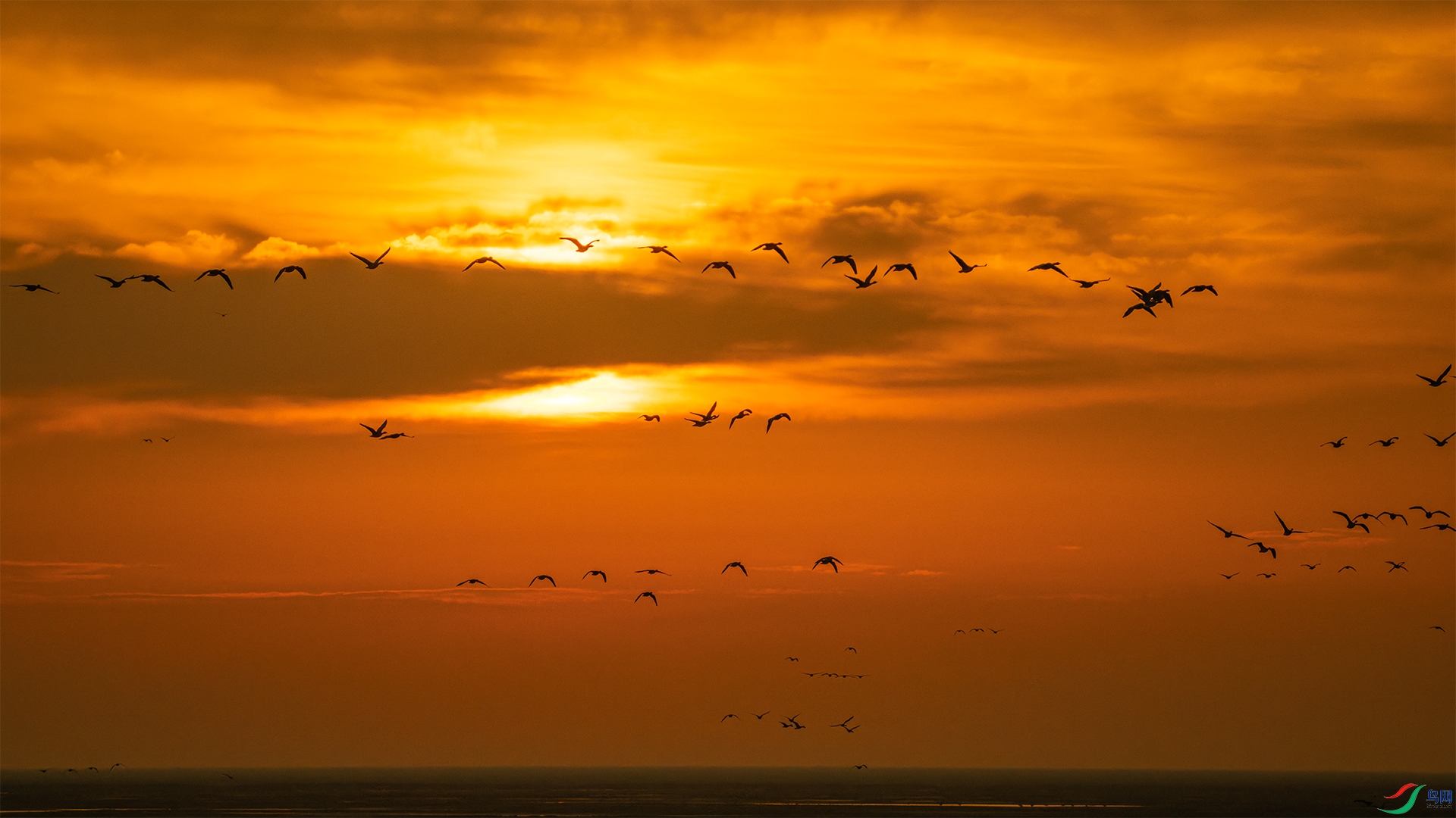_DSC8013С.jpg