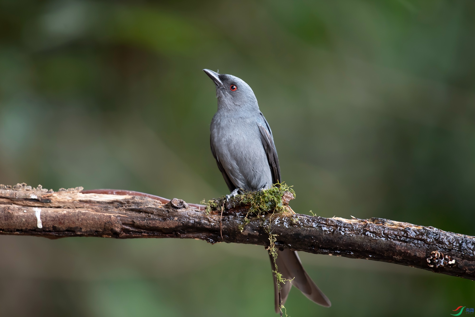 DSC_2984.jpg