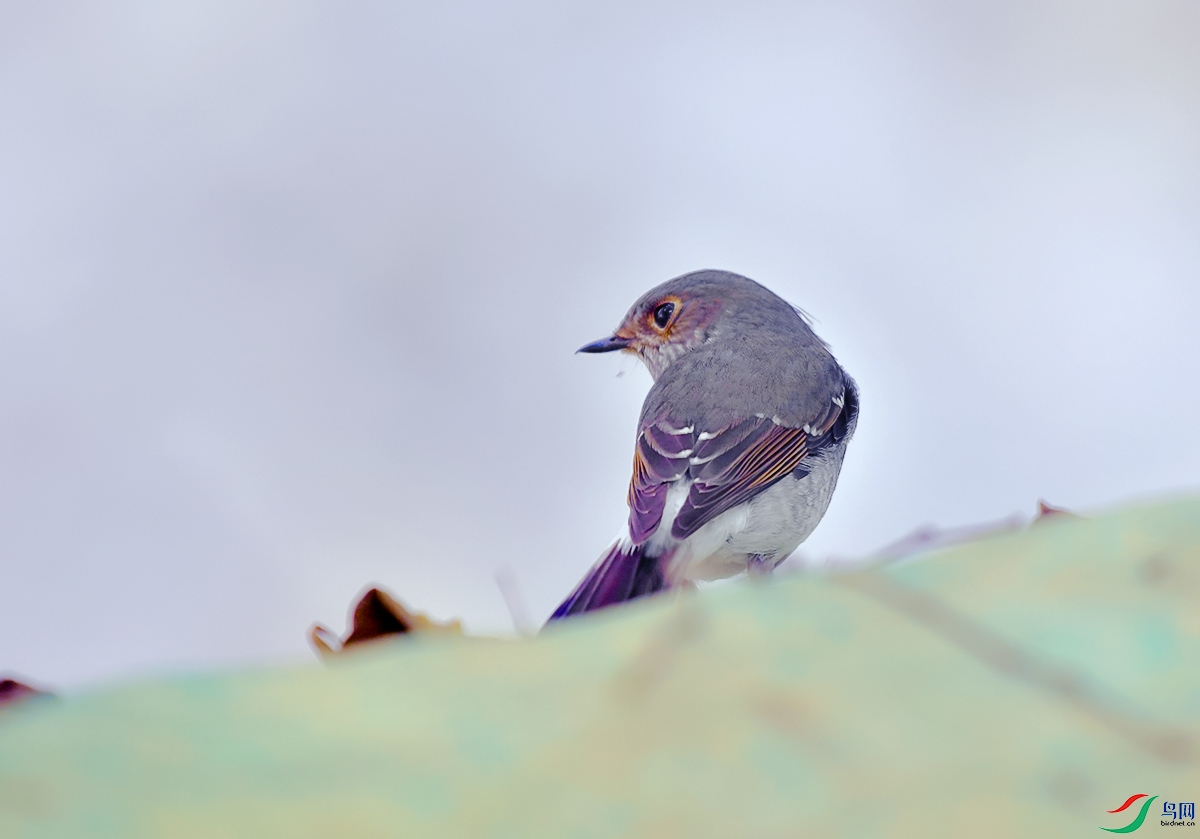DSC_0382.JPG