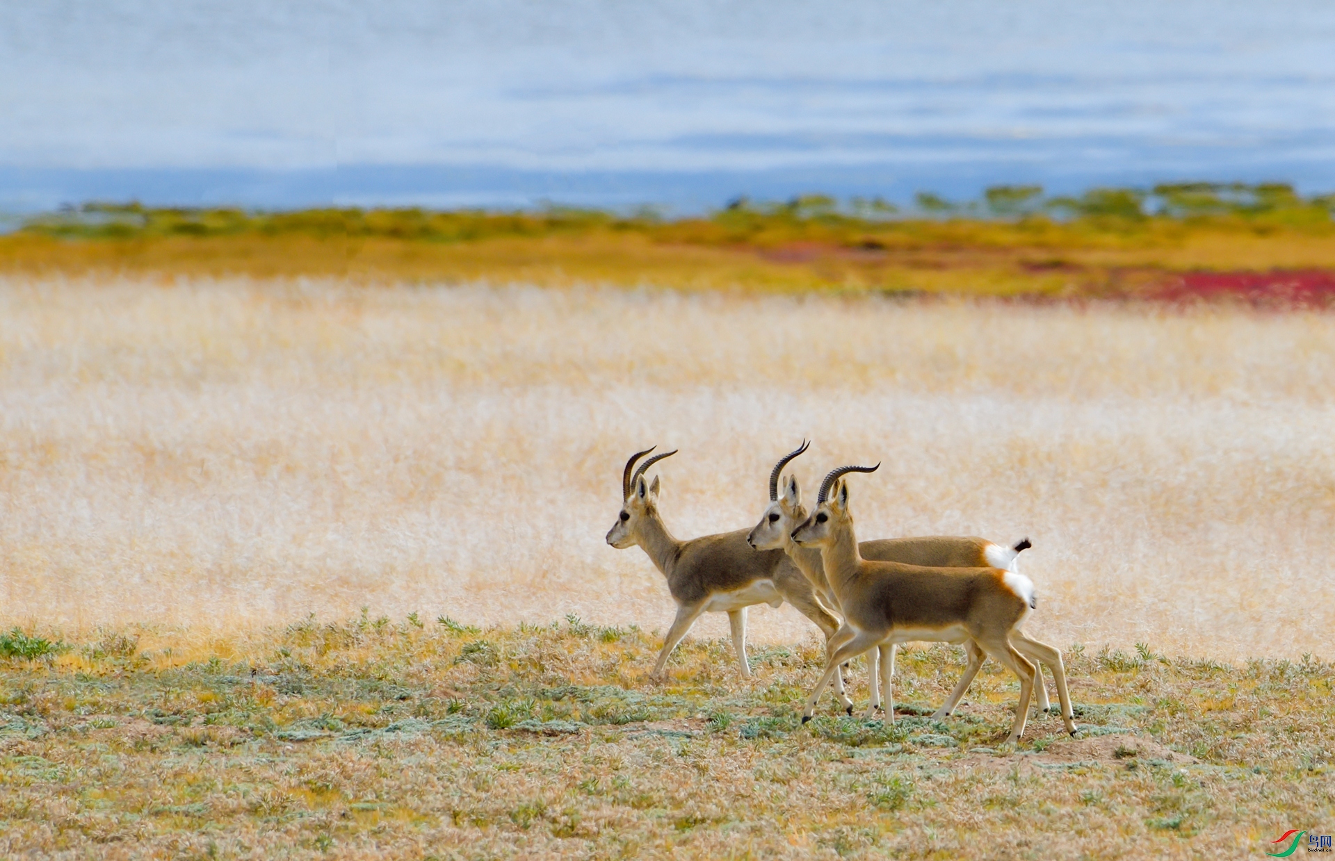 _DSC2565_����.jpg