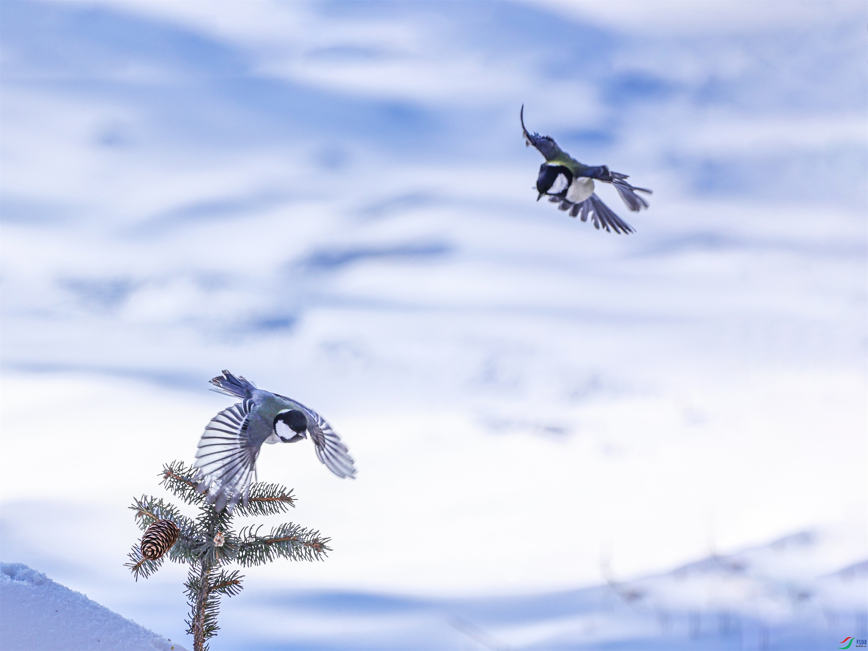 1K3A7612 ����1.jpg