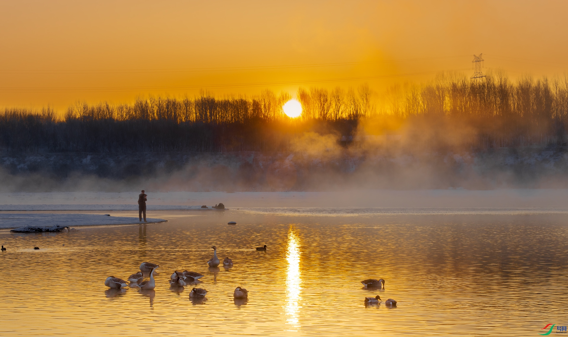 ��ӳ���0C4A0372.jpg