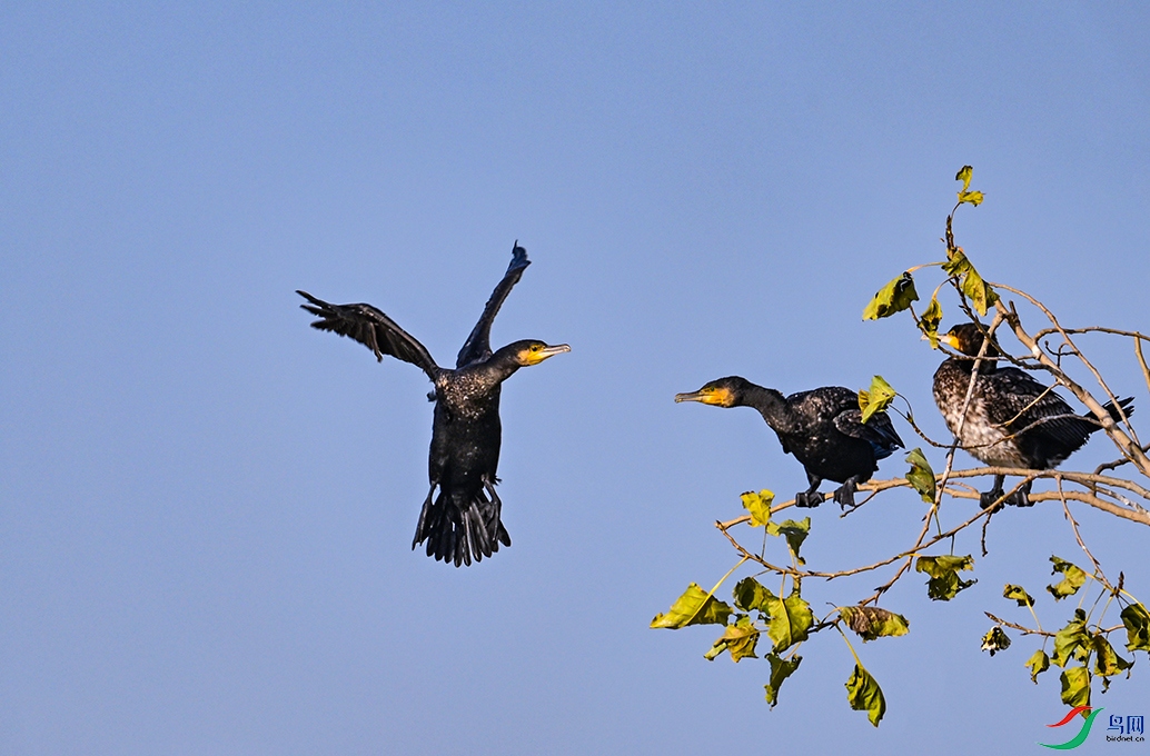 DSC_2474--2.jpg