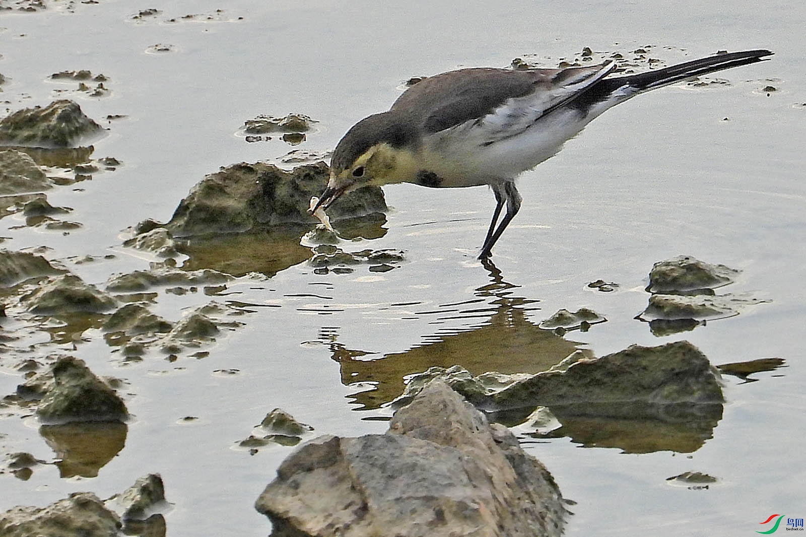 DSCN6674.jpg