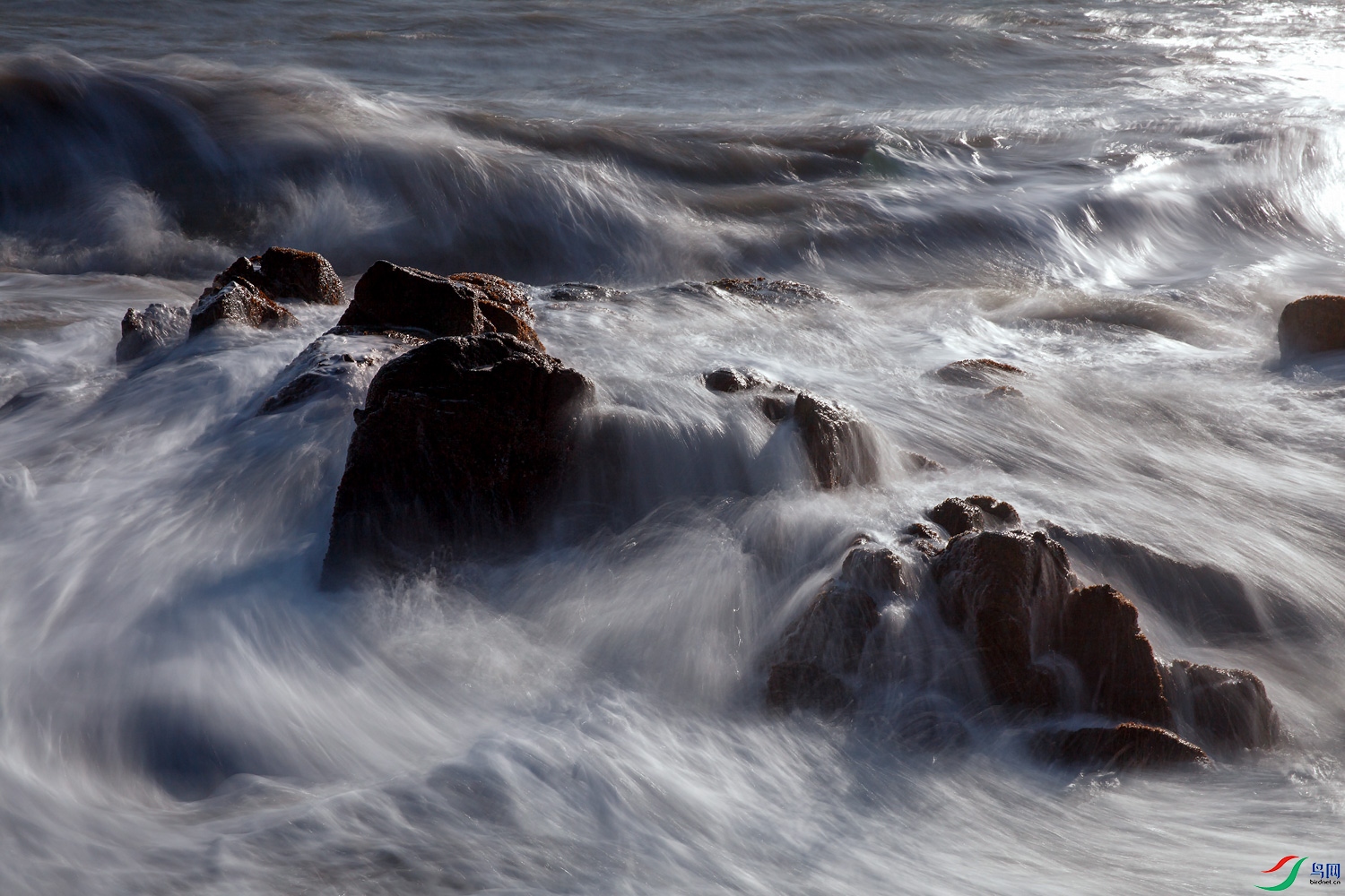 0S9A2798 ����.jpg