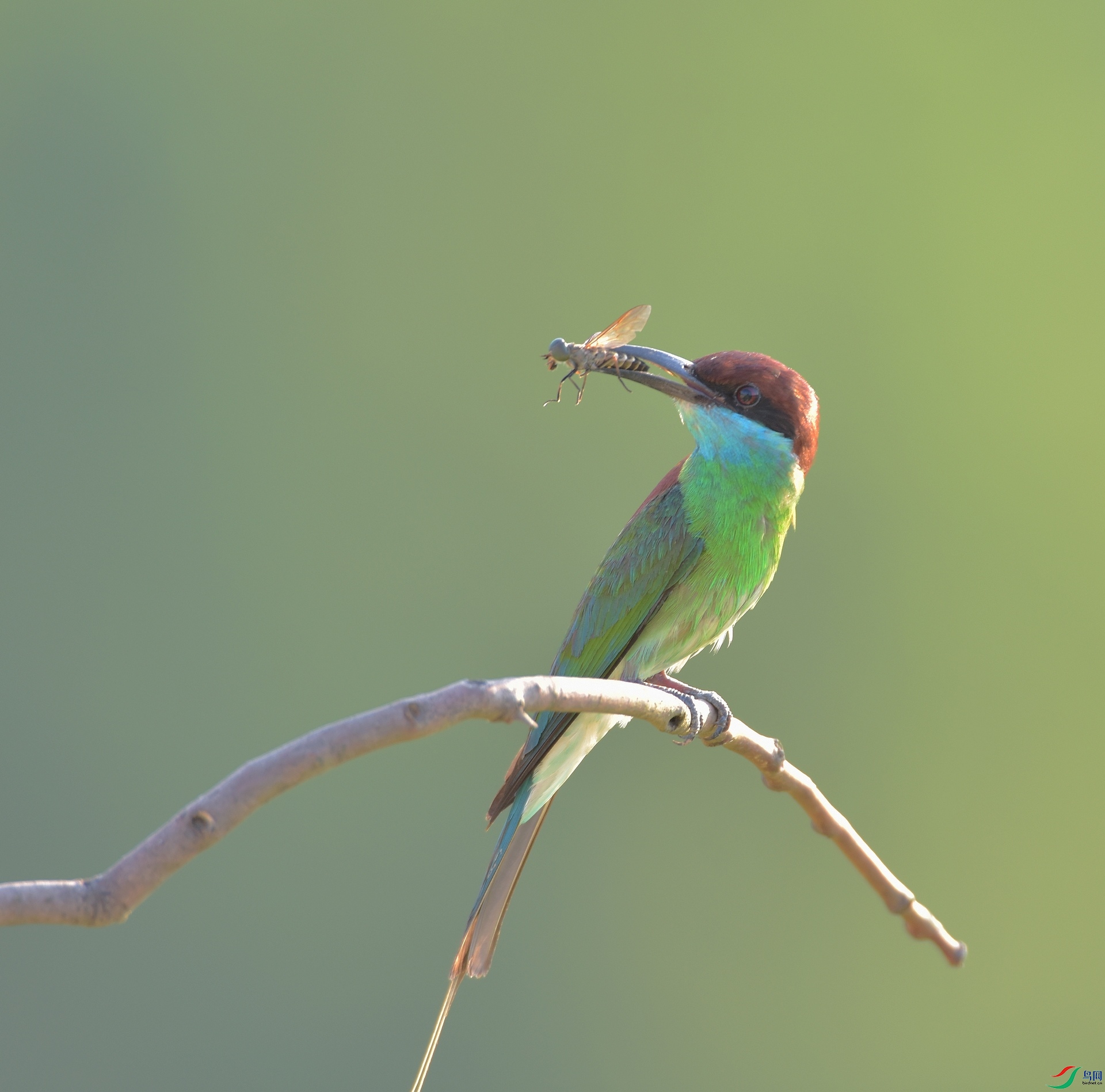 D72_8610.jpg
