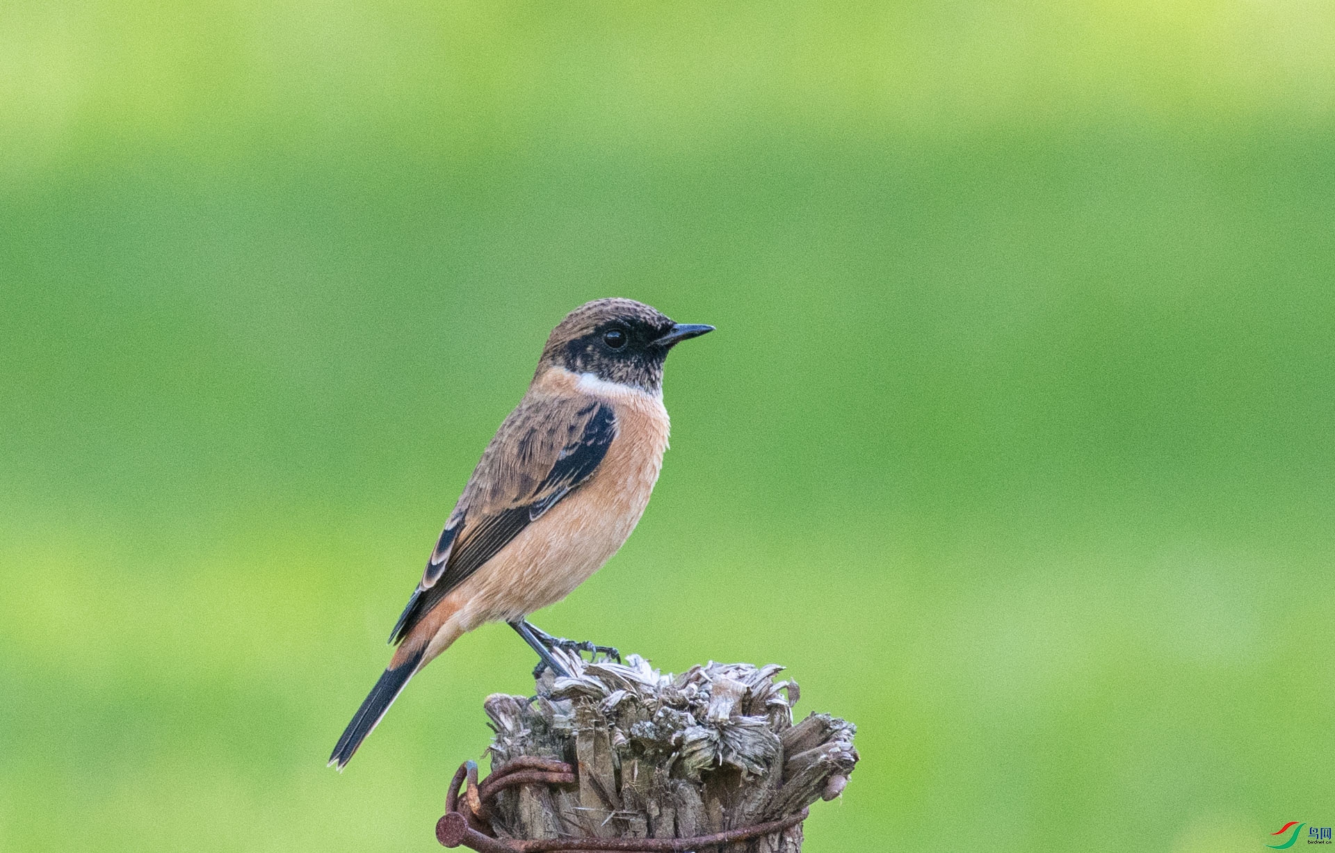 DSC_5121.jpg