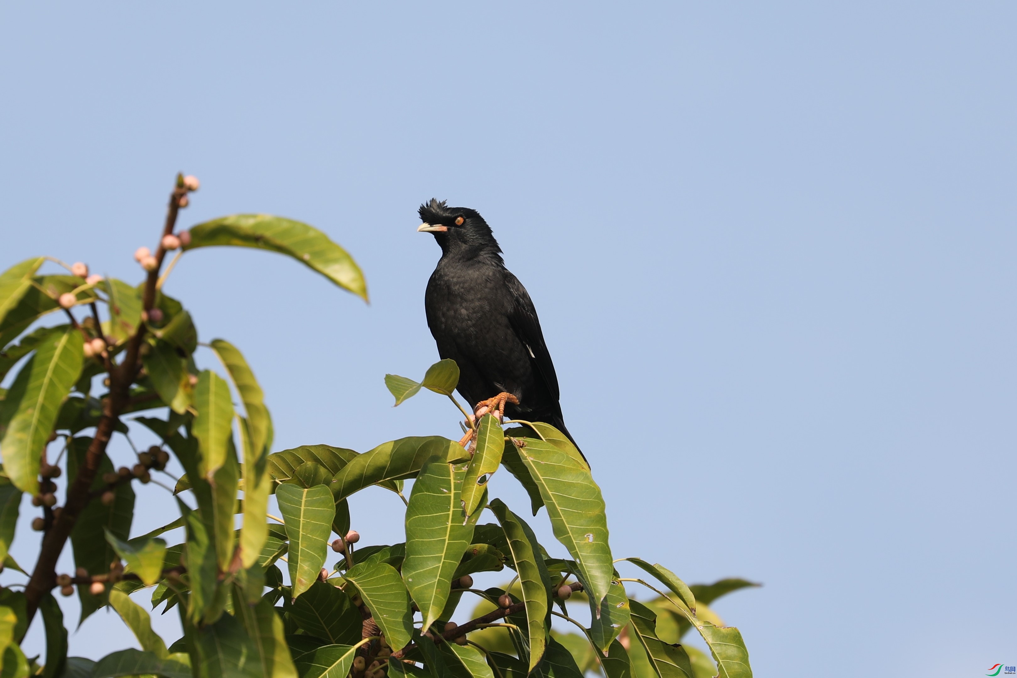 BL7A9786.JPG
