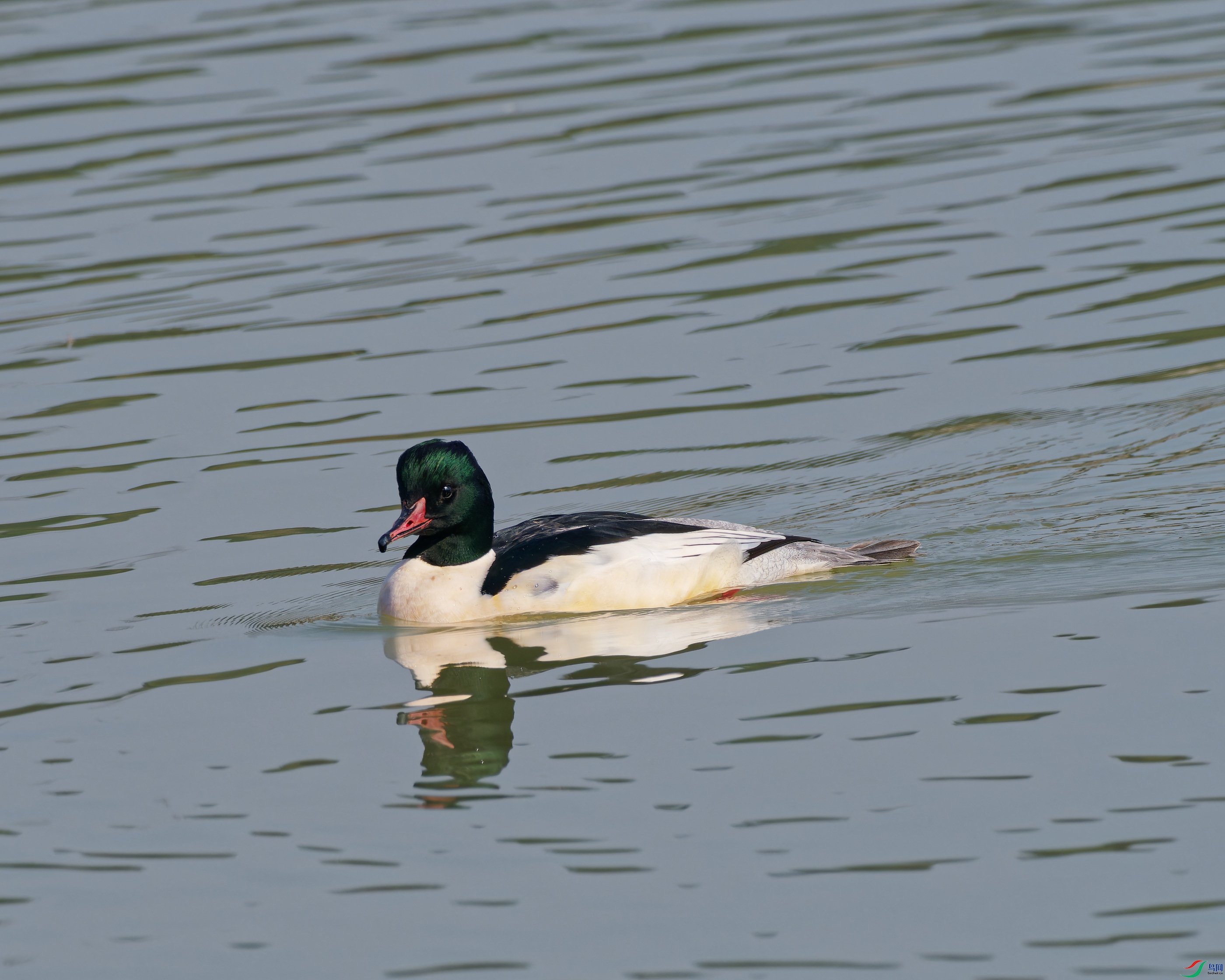 PC050180_DxO_DxO.jpg