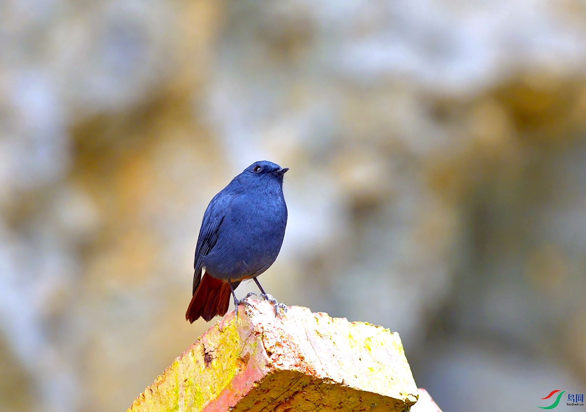 DSC_0191.JPG