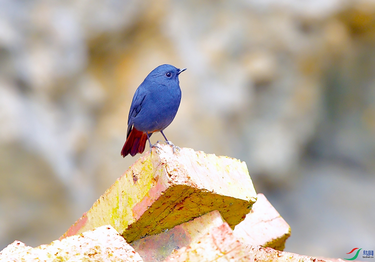 DSC_0183.JPG