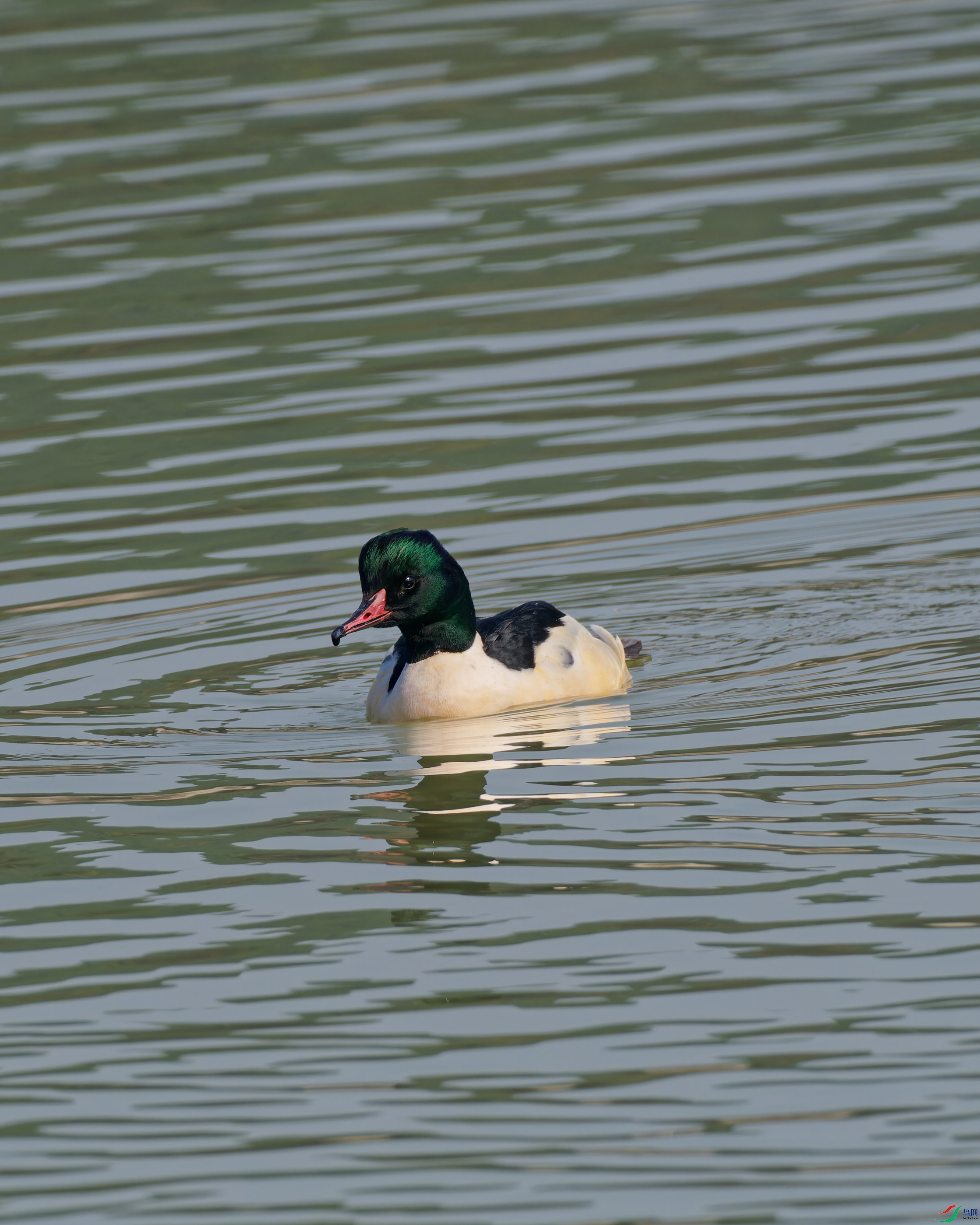 PC050178_DxO_DxO.jpg