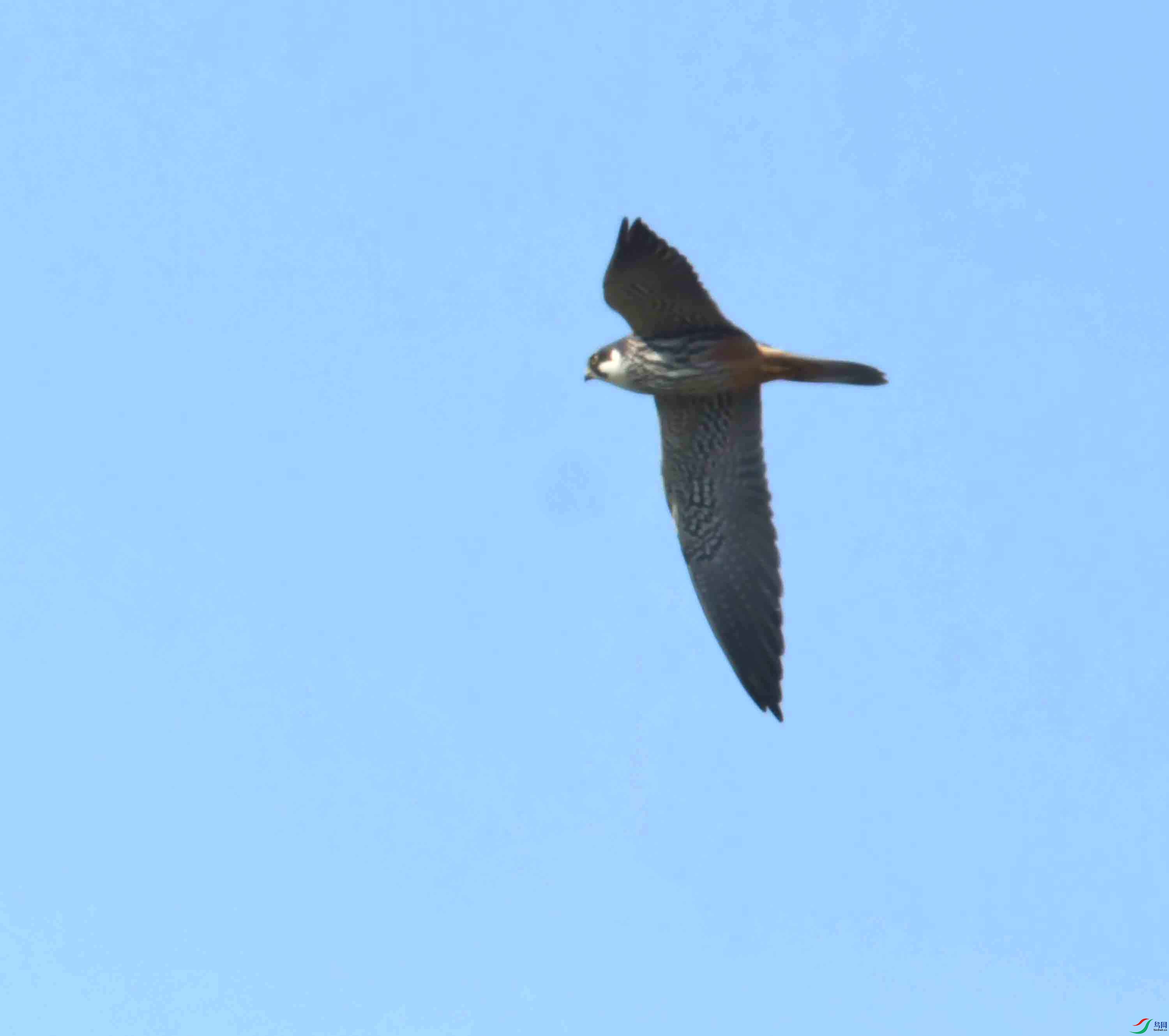 DSC_2544.JPG